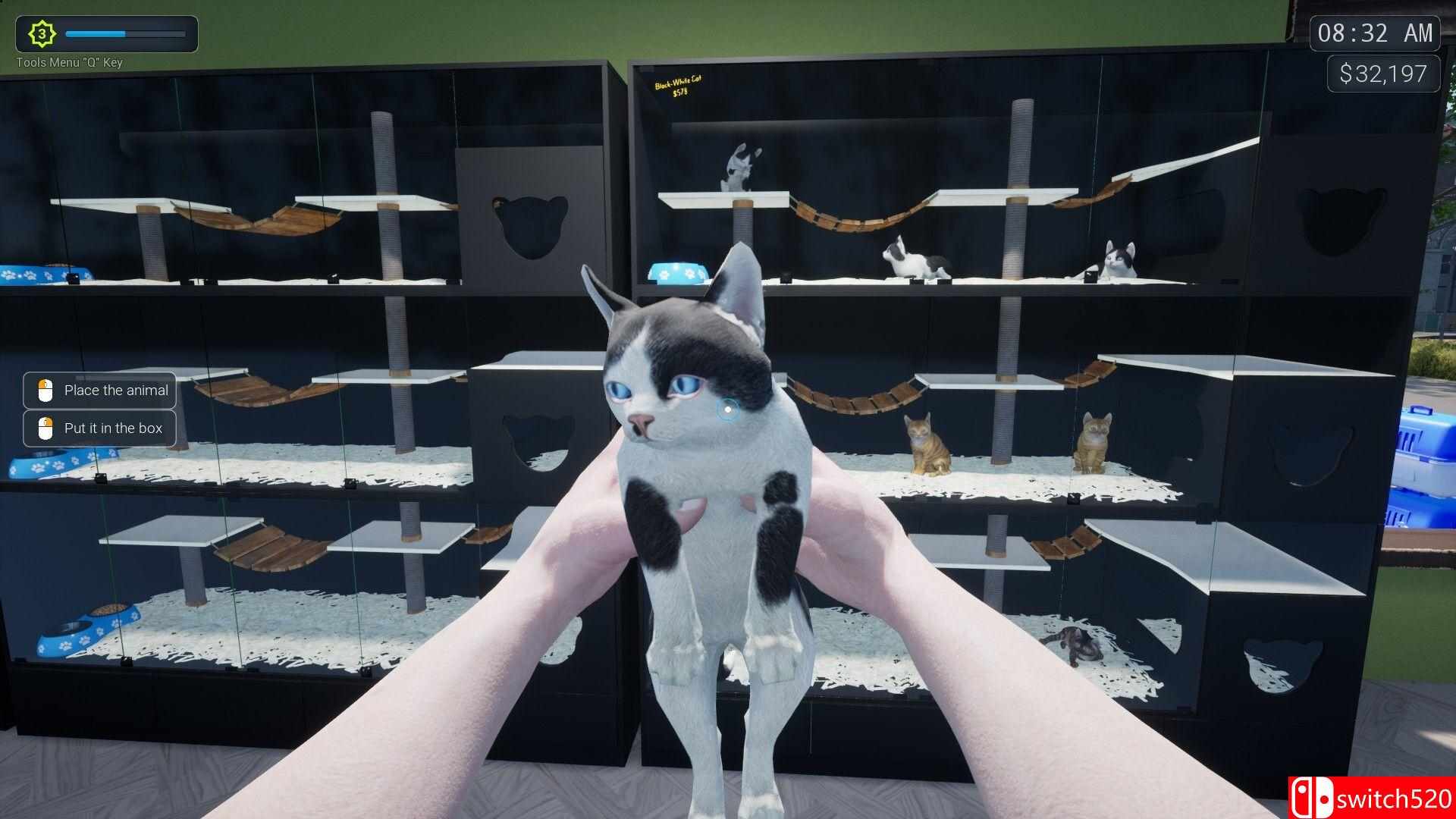 《异域风情2：宠物店模拟器（Exotica 2: Pet Shop Simulator）》官方中文 TENOKE镜像版[CN/EN/JP]_1