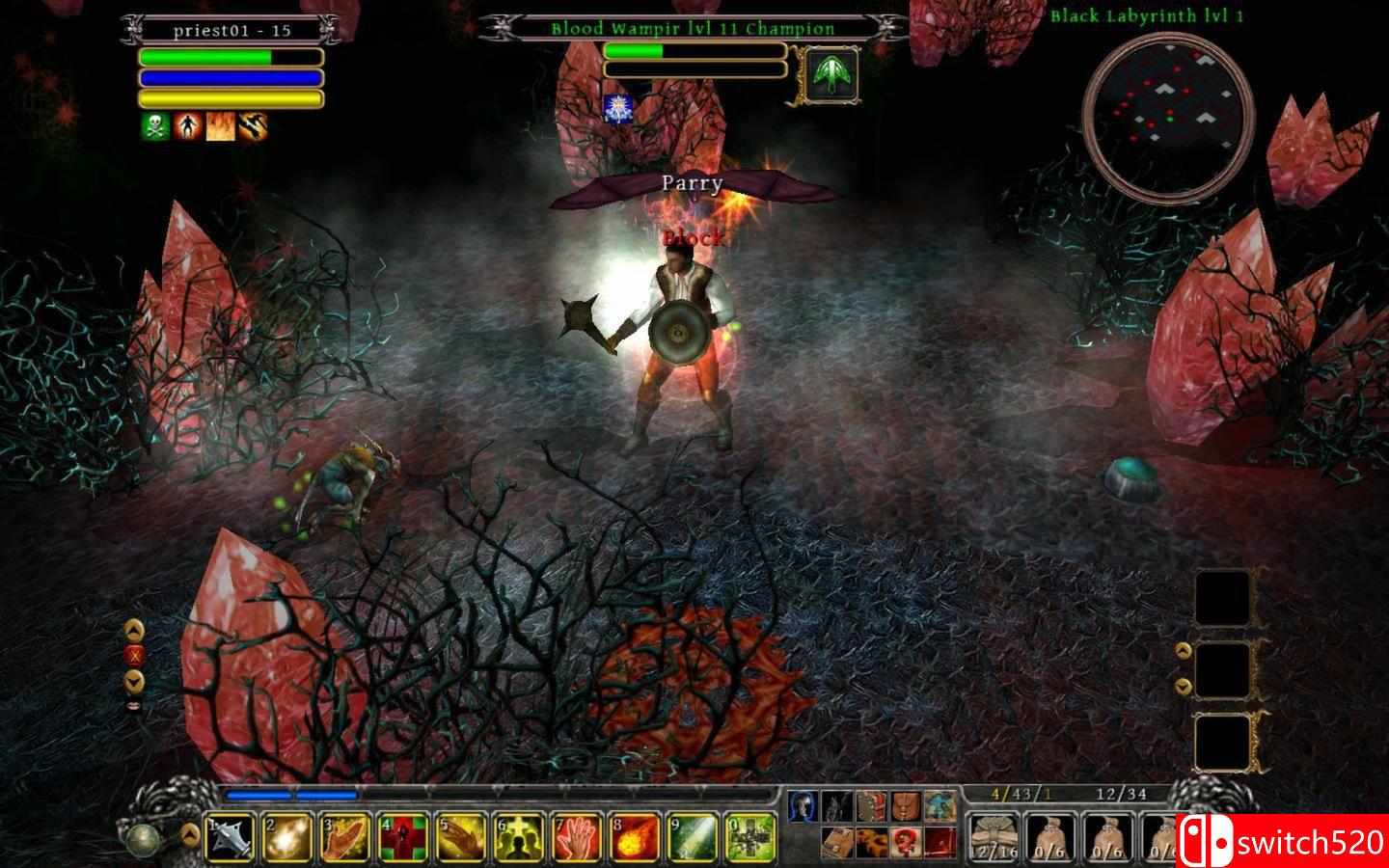 《丁神的诅咒（Din's Curse）》v1.034 GOG版 DELiGHT硬盘版[EN]_1