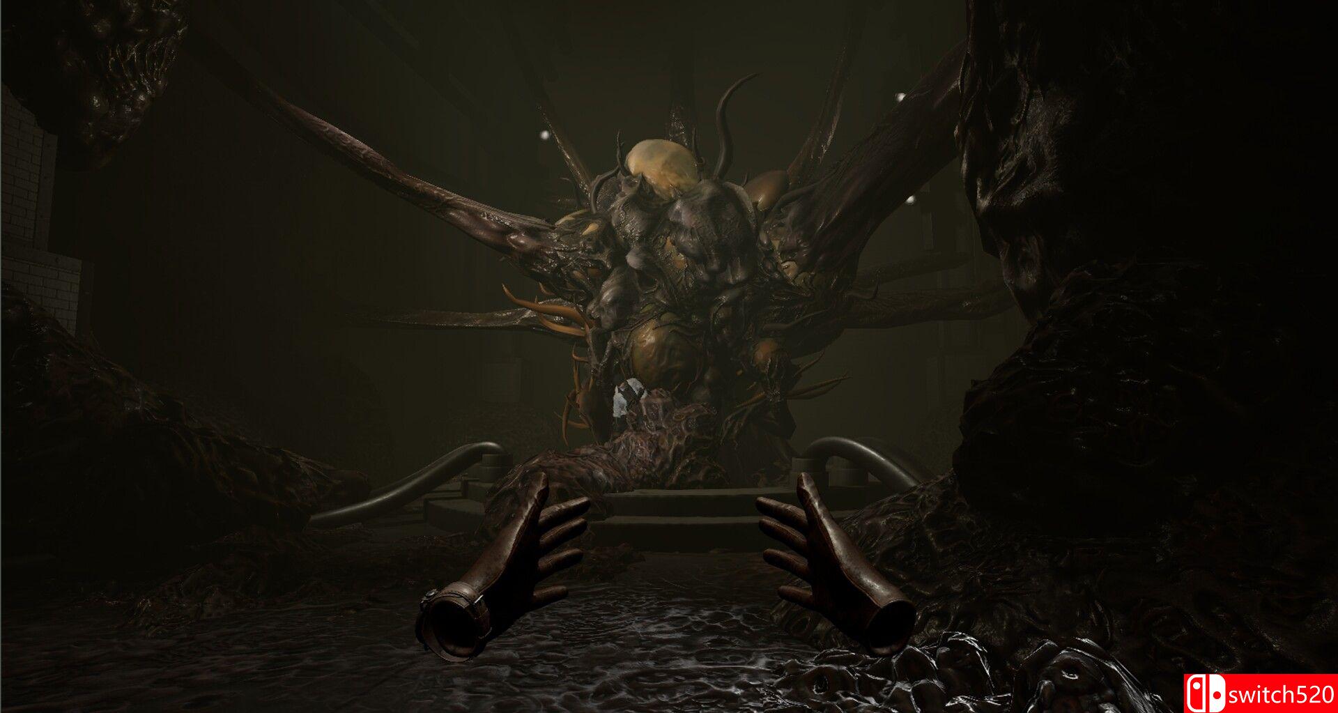 《恐怖子午线（Dread Meridian）》官方中文 v2026.01.28 P2P硬盘版[CN/EN]_5