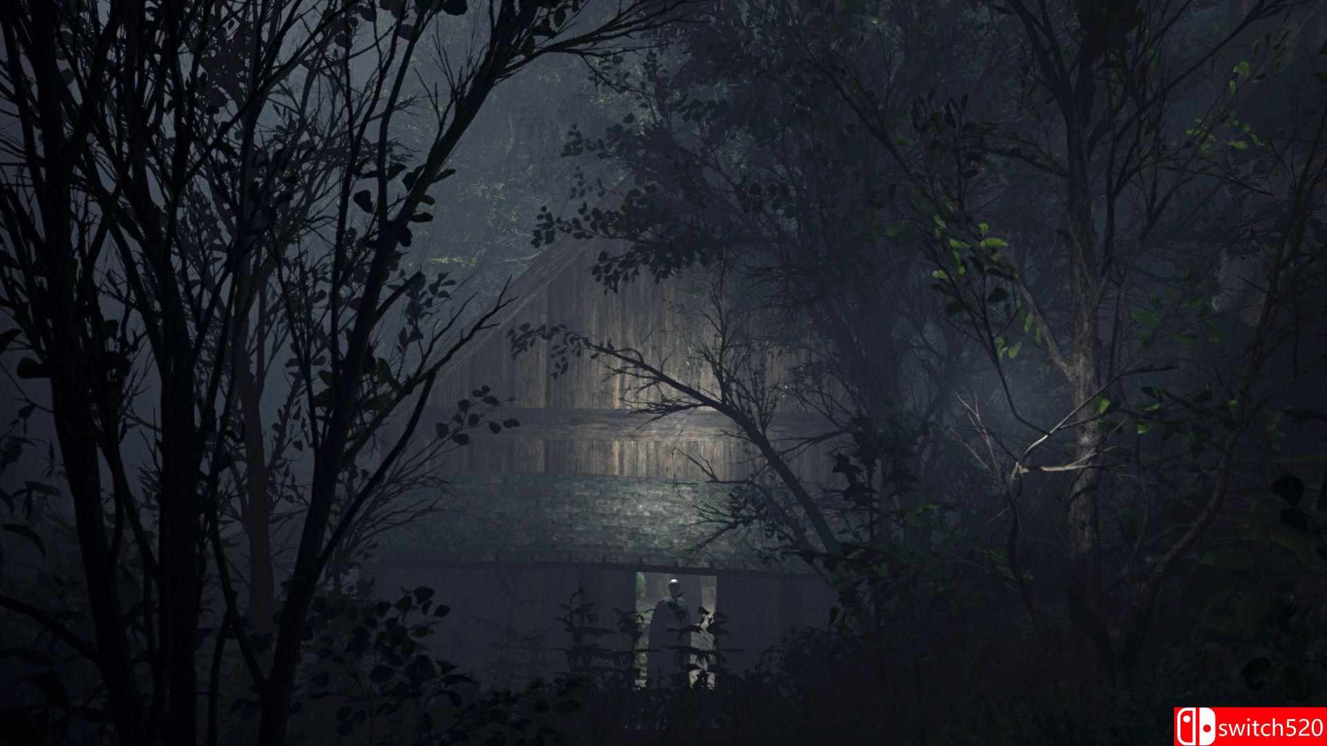 《第九藏骸所（The 9th Charnel）》官方中文 RUNE镜像版[CN/TW/EN/JP]_3