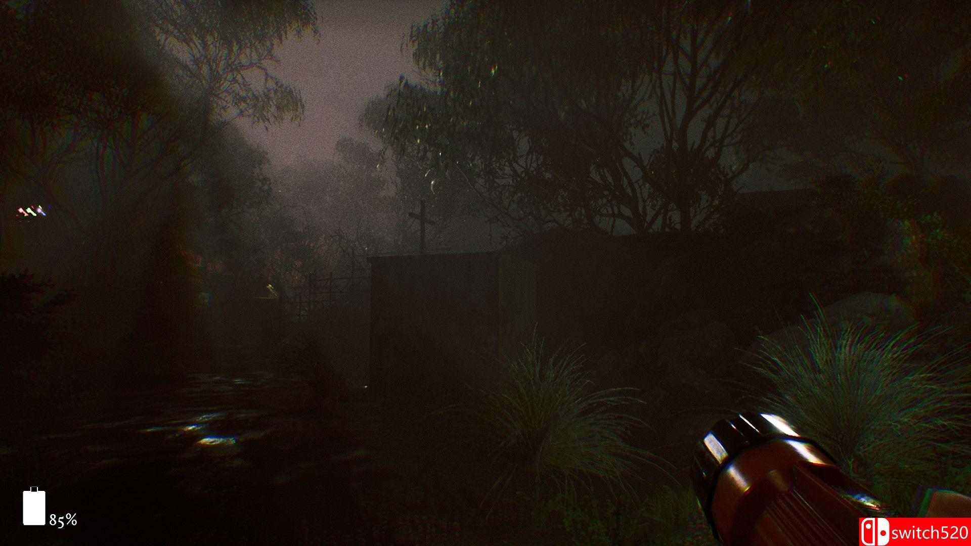 《第九藏骸所（The 9th Charnel）》官方中文 RUNE镜像版[CN/TW/EN/JP]_4