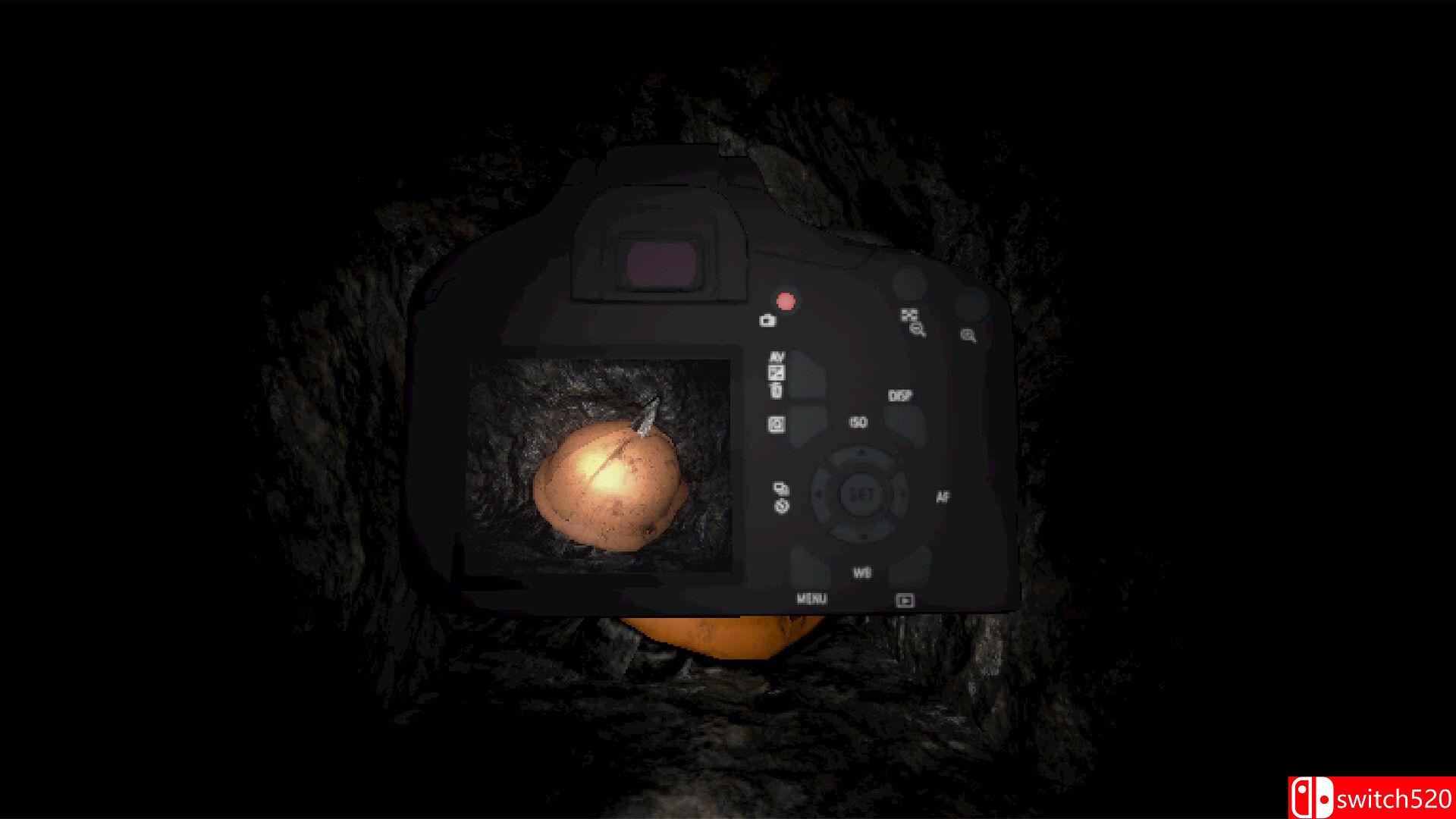 《洞潜深境（SUBSUMED）》bADkARMA硬盘版[EN]_2