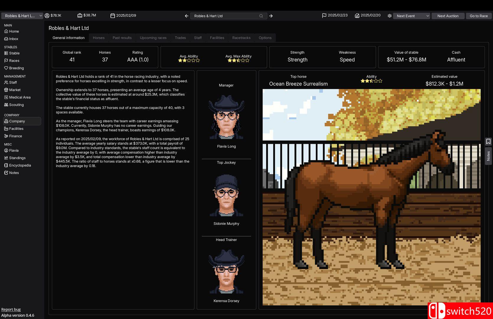 《赛马经理（Horse Racing Manager）》Build 21717512 P2P硬盘版[EN]_2