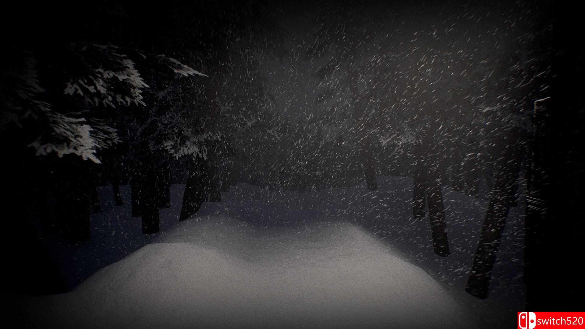 《苍白沉寂（White Silence）》TINYISO镜像版[EN]_2