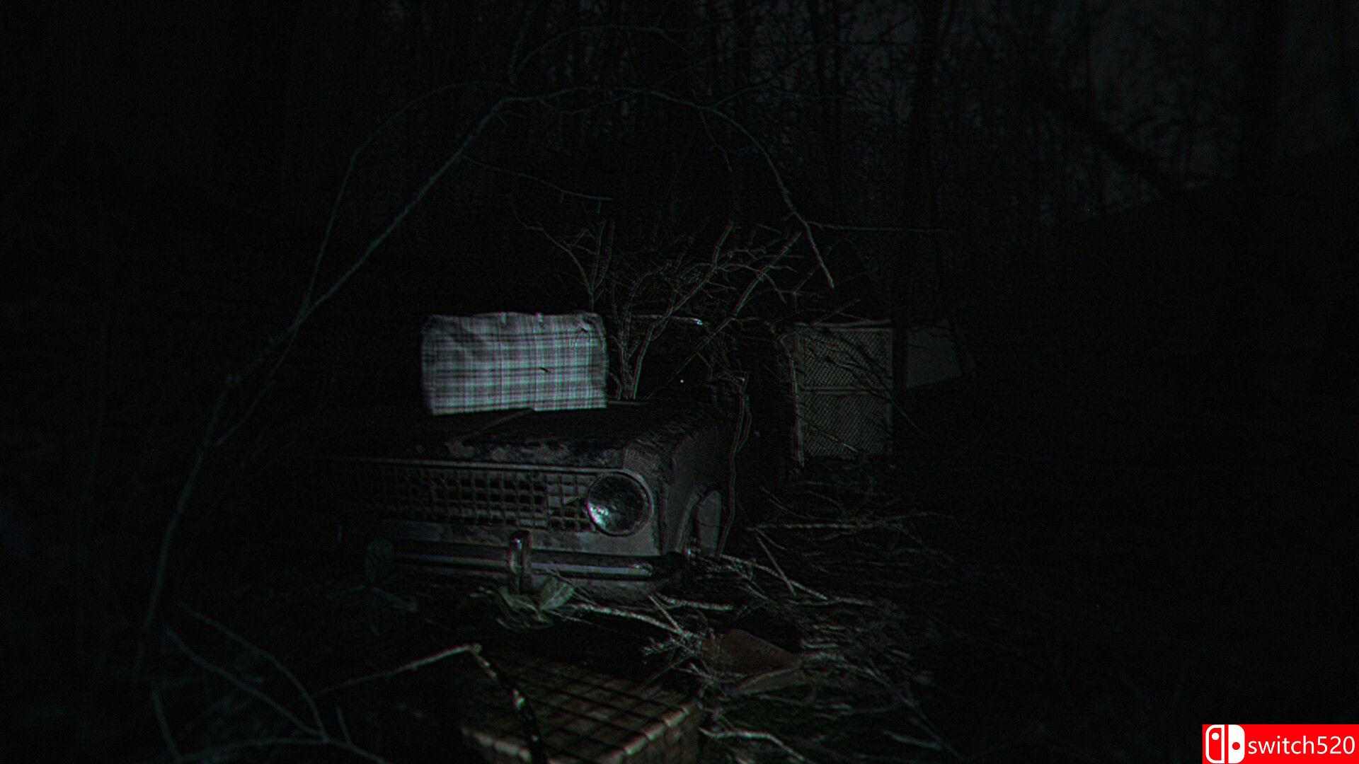 《诡异之光（The Strange Lights）》官方中文 TiNYiSO镜像版[CN/TW/EN/JP]_3