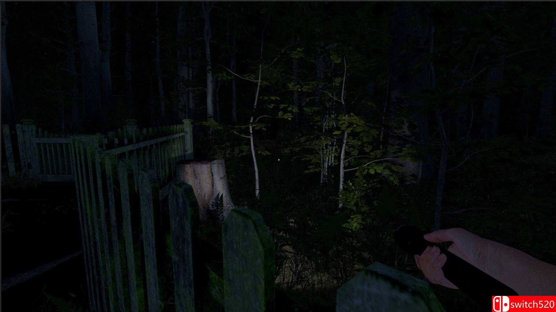 《灰人：人类绑架（The Greys: Human Abductions）》Build 20258528 P2P硬盘版[CN/EN/JP]_1