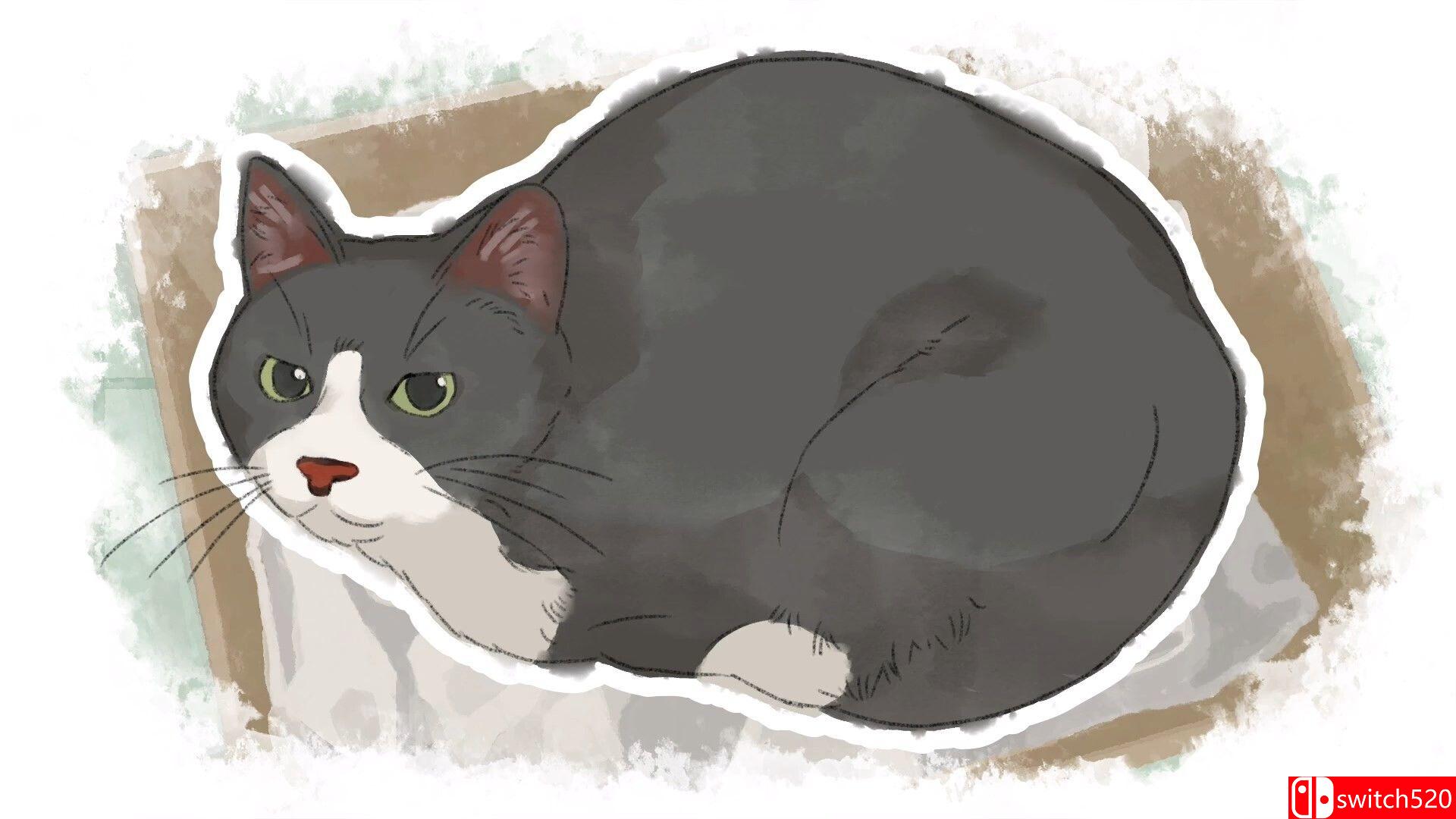 《致亲爱的我（Dear me, I was...）》官方中文 TENOKE镜像版[CN/TW/EN/JP]_5