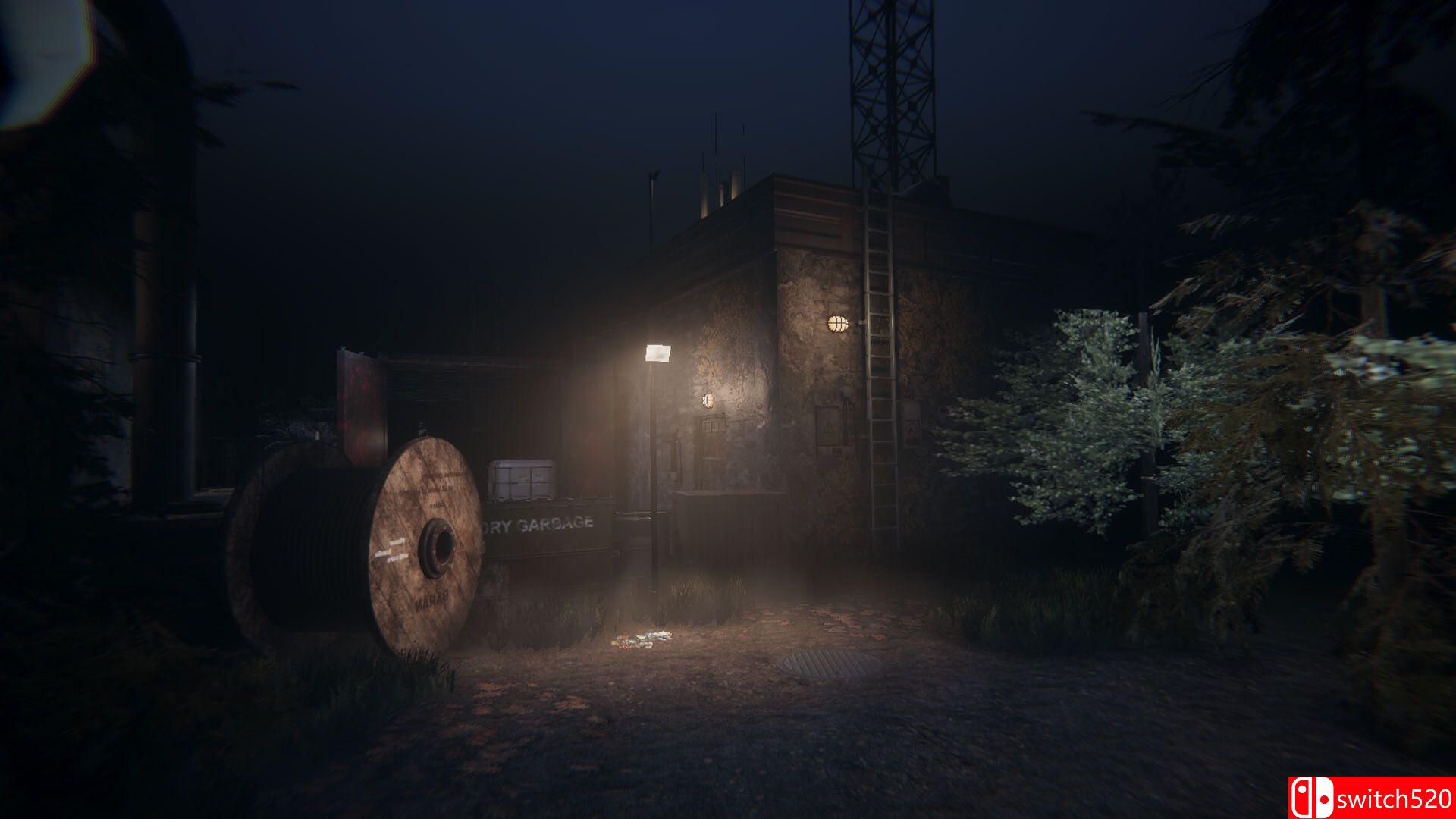 《魂之微光（Radiance of Souls）》P2P硬盘版[EN]_2