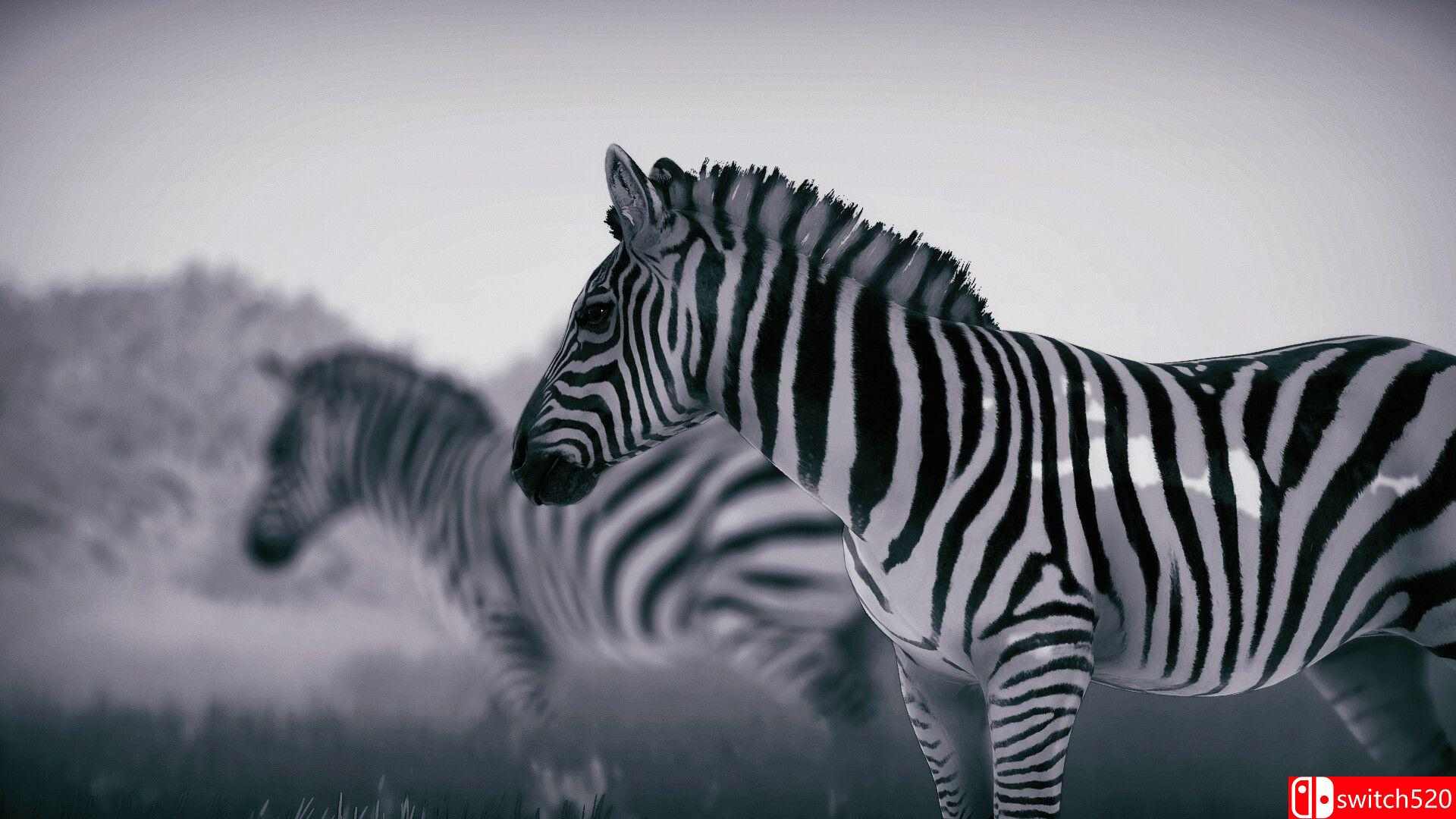 《幽居之境（Seclusa）》官方中文 TENOKE镜像版[CN/EN/JP]_2