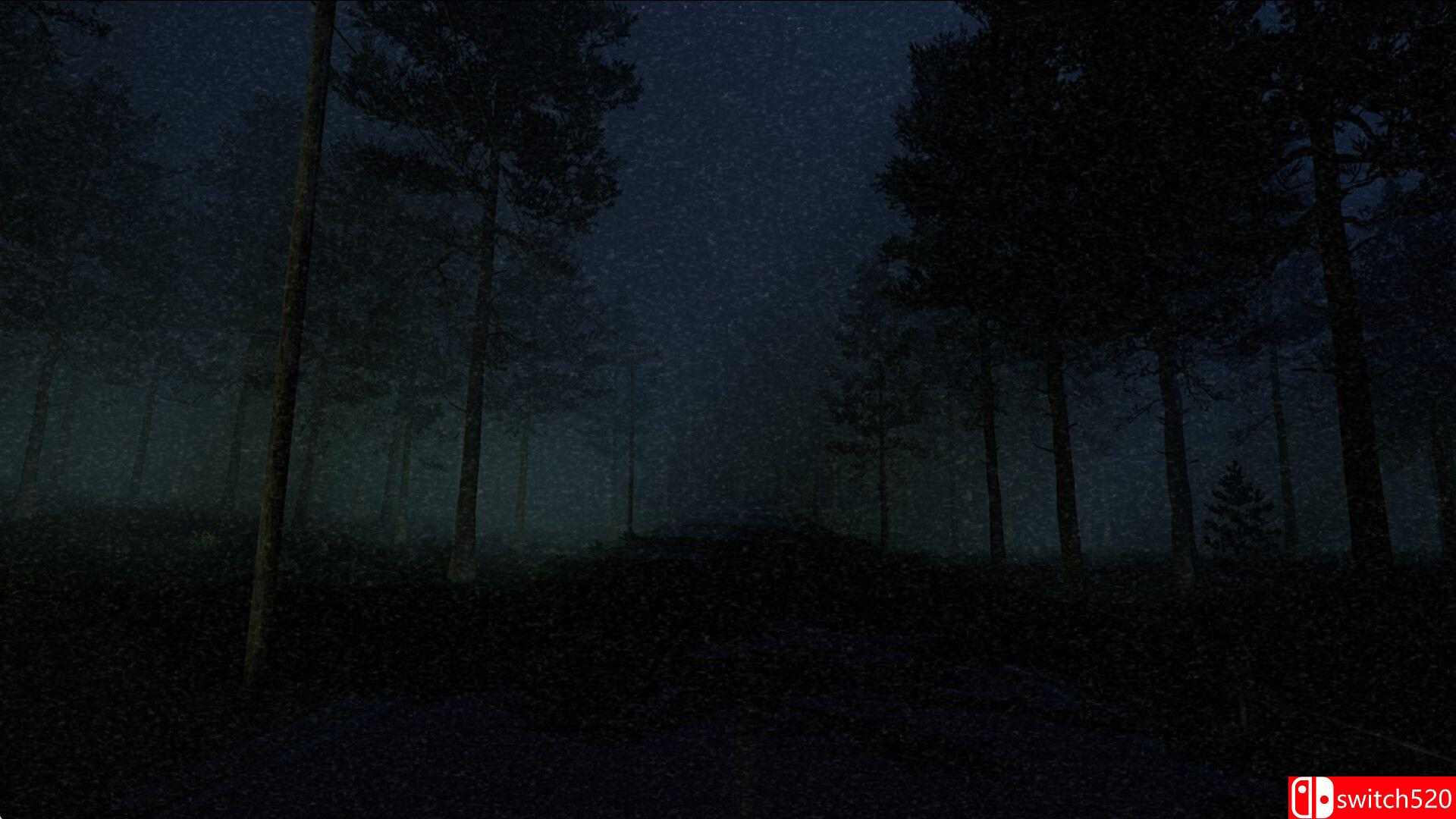 《出口前：加油站（Before Exit: Gas Station）》官方中文 集成午夜DLC TENOKE镜像版[CN/TW/EN/JP]_4