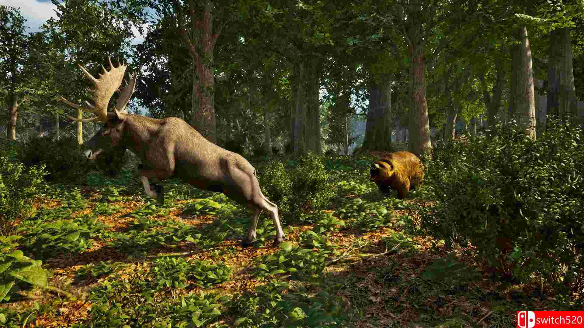 《公园护林员模拟器（Park Ranger Simulator）》P2P硬盘版[EN]_3