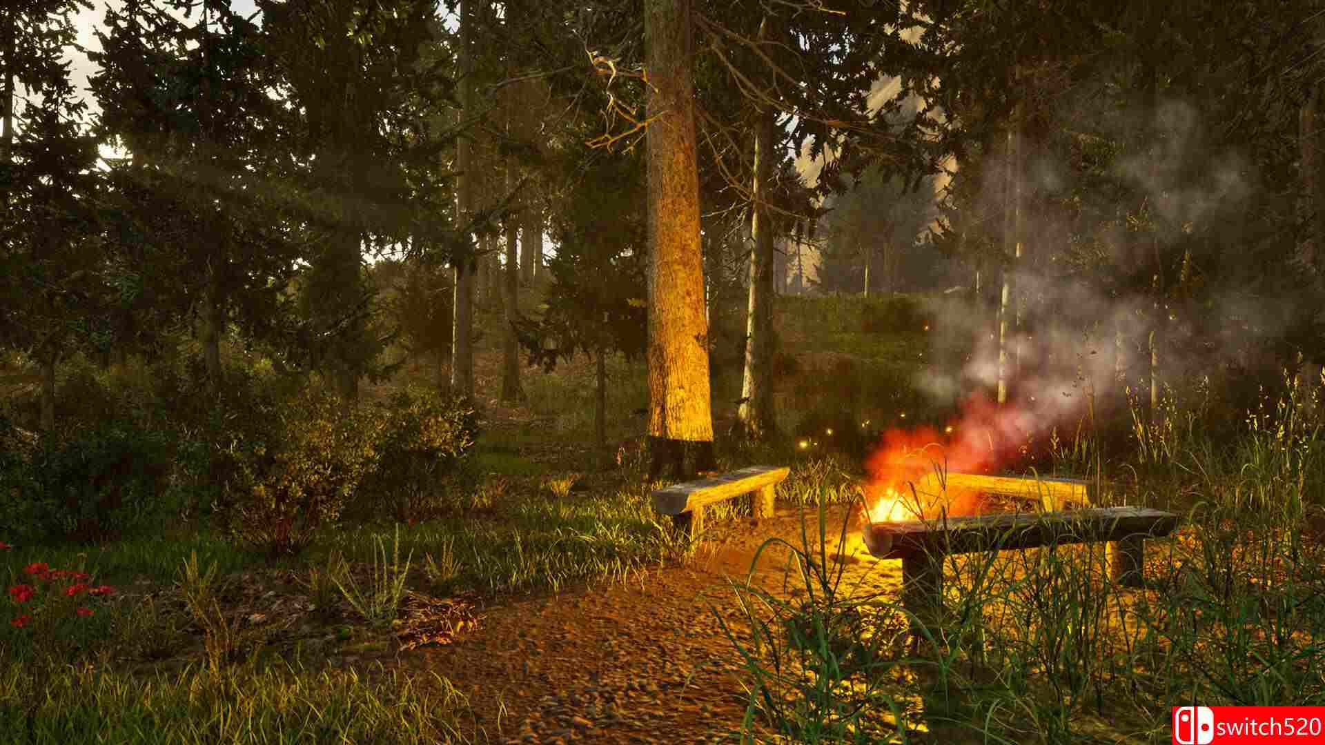 《公园护林员模拟器（Park Ranger Simulator）》P2P硬盘版[EN]_5