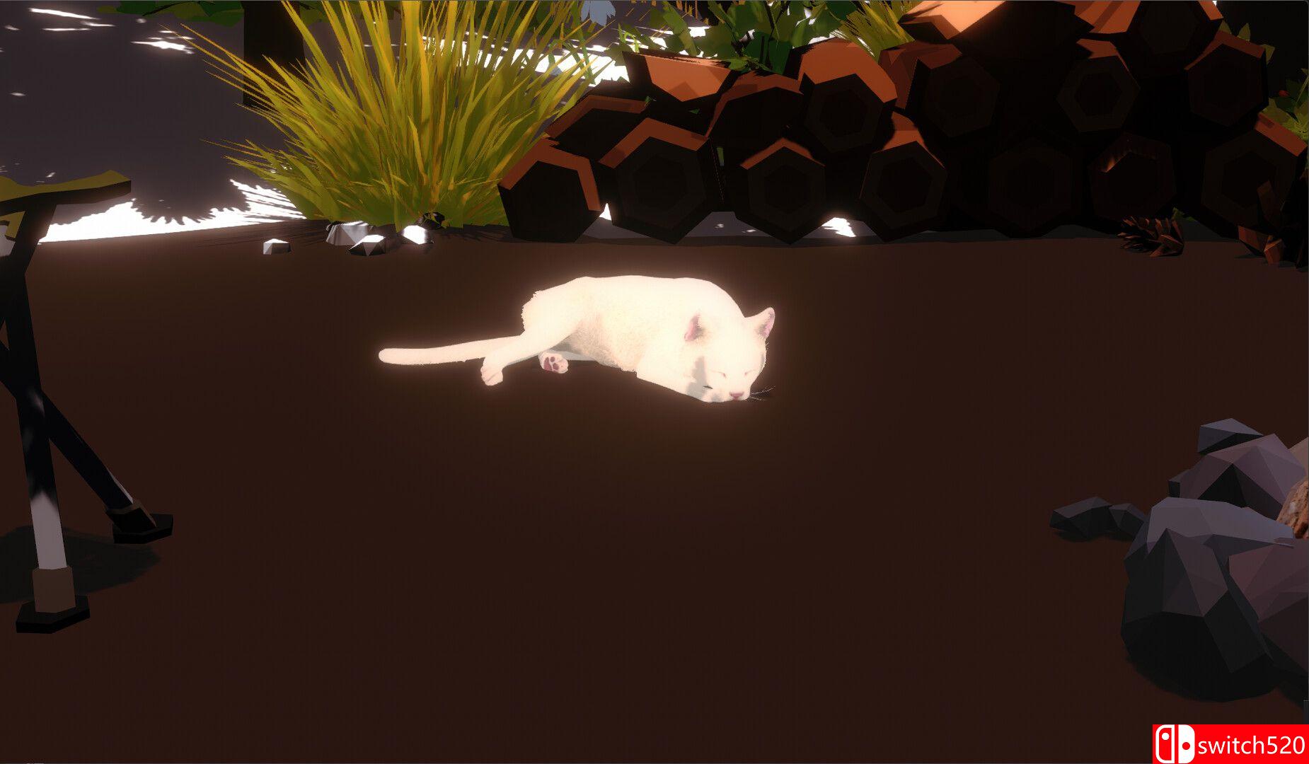 《篝火与猫（Campfire with Cat）》TENOKE镜像版[EN/JP]_3