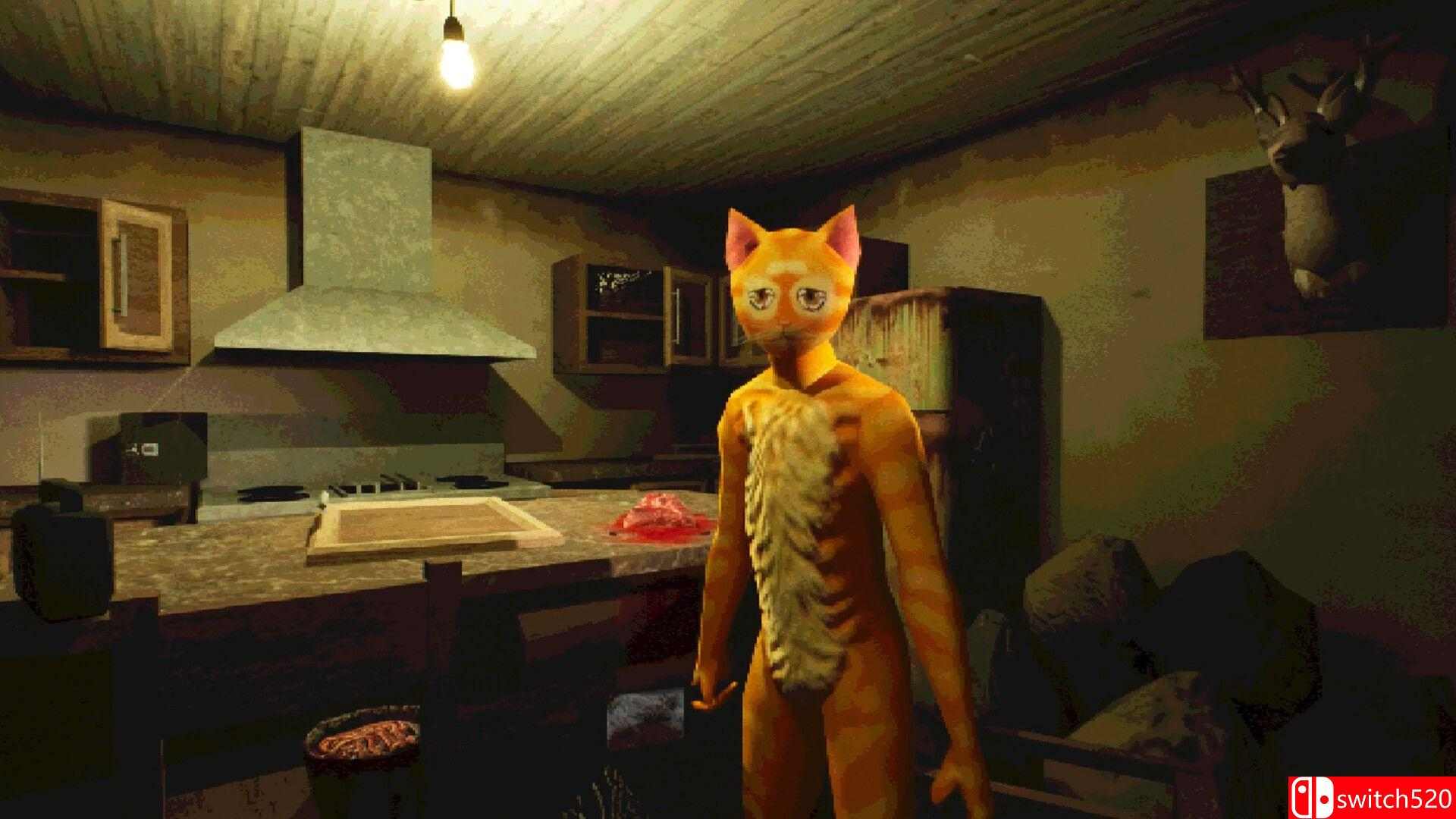 《莫哈维之猫（Cat Named Mojave）》官方中文 v1.12 DINOByTES镜像版[CN/TW/EN/JP]_1