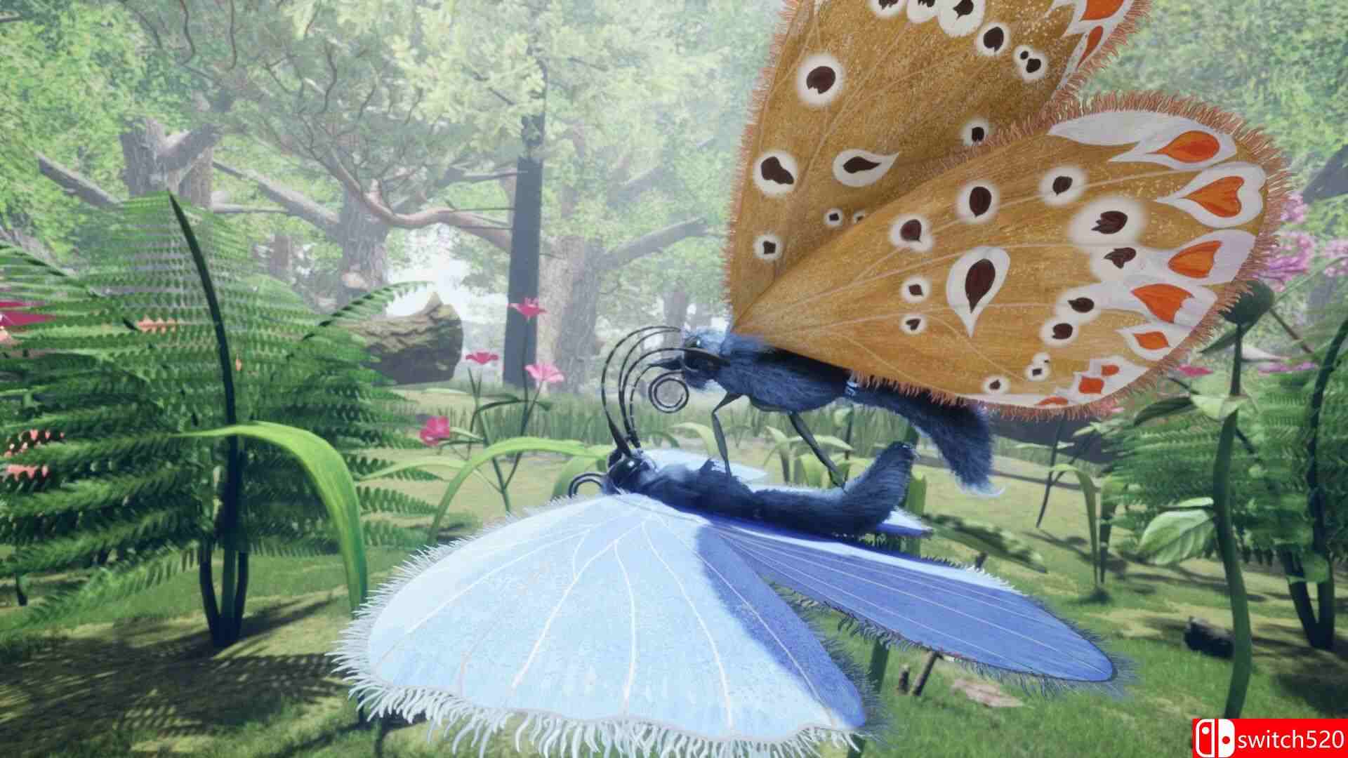《自然与生命：沉醉于花蜜（Nature Life - Drunk On Nectar）》集成孔雀跳蛛DLC TENOKE镜像版[EN]_4