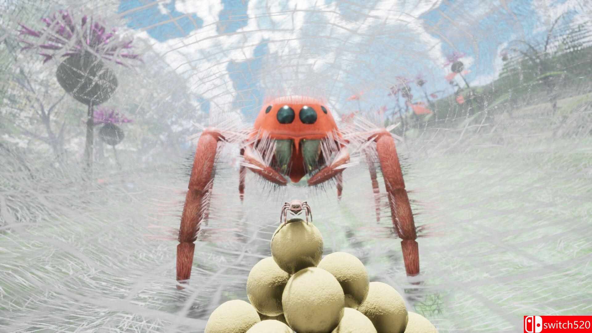 《自然与生命：沉醉于花蜜（Nature Life - Drunk On Nectar）》集成孔雀跳蛛DLC TENOKE镜像版[EN]_5