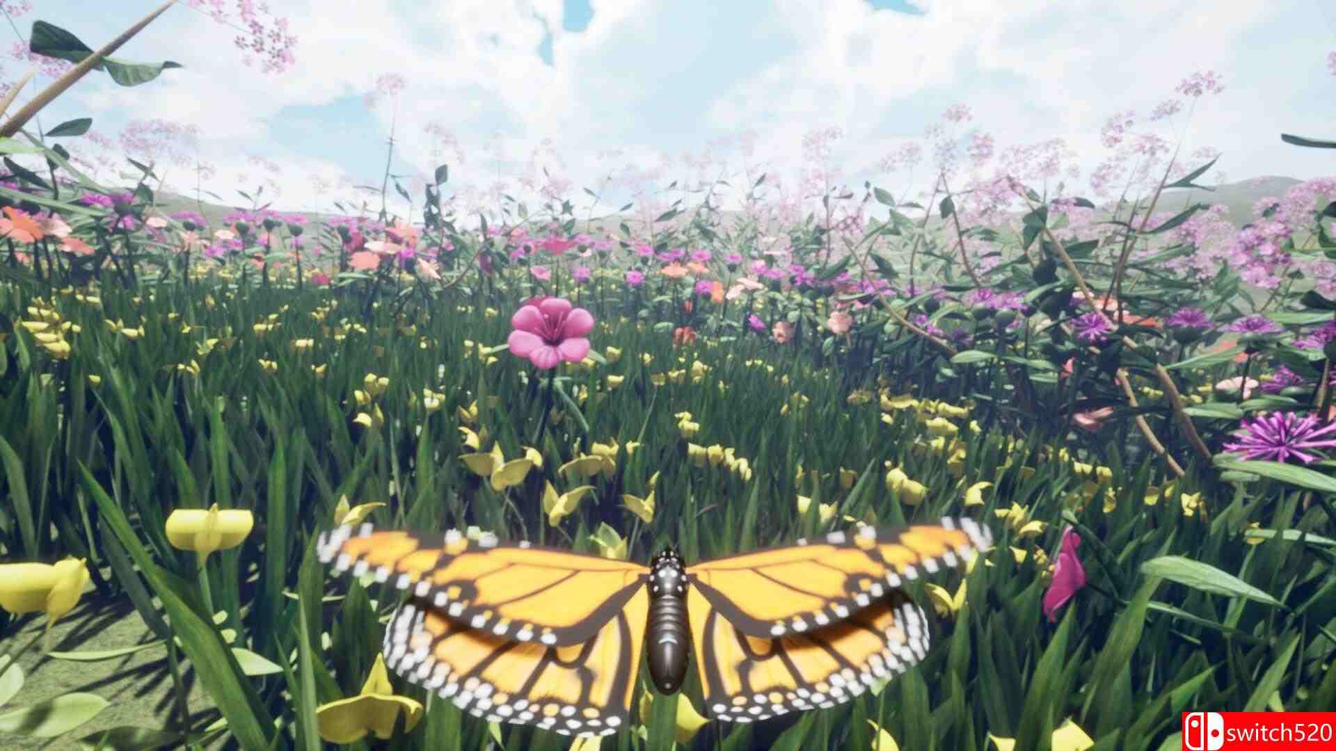 《自然与生命：沉醉于花蜜（Nature Life - Drunk On Nectar）》集成孔雀跳蛛DLC TENOKE镜像版[EN]_1