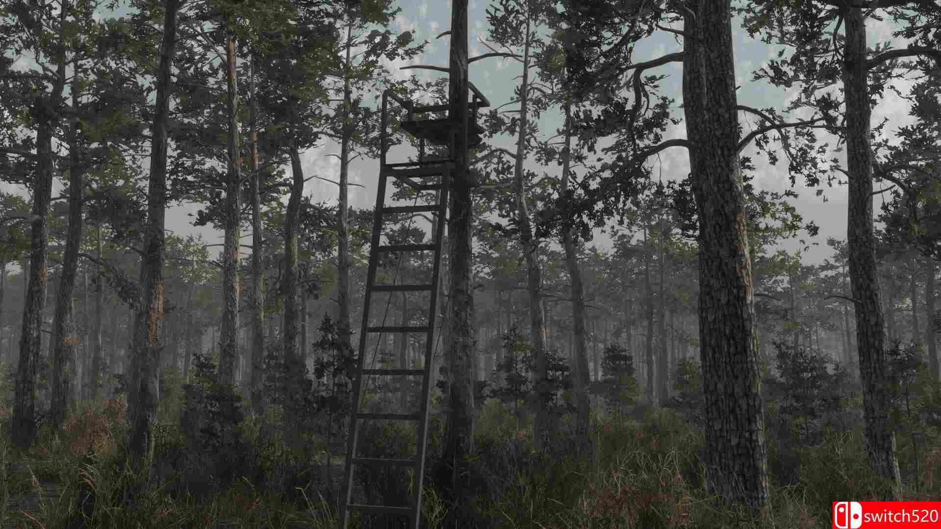 《猎鹿营地（Deer Hunting Camp）》Build 21634184 P2P硬盘版[EN]_3