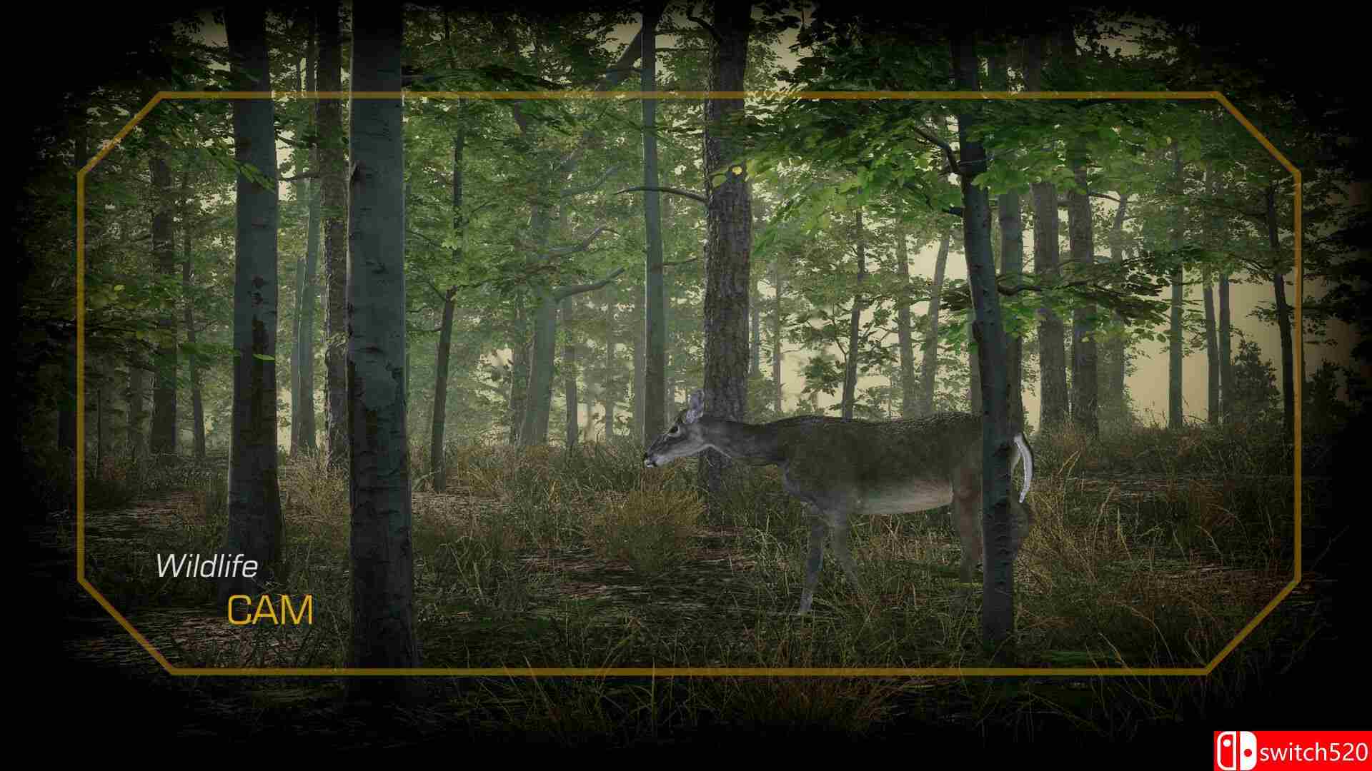 《猎鹿营地（Deer Hunting Camp）》Build 21634184 P2P硬盘版[EN]_5