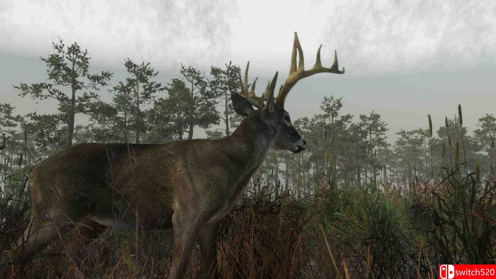 《猎鹿营地（Deer Hunting Camp）》Build 21634184 P2P硬盘版[EN]_1