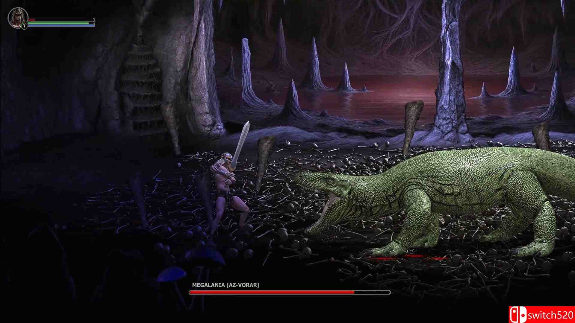 《野蛮人时代编年史（Age of Barbarians Chronicles）》P2P硬盘版[EN]_3