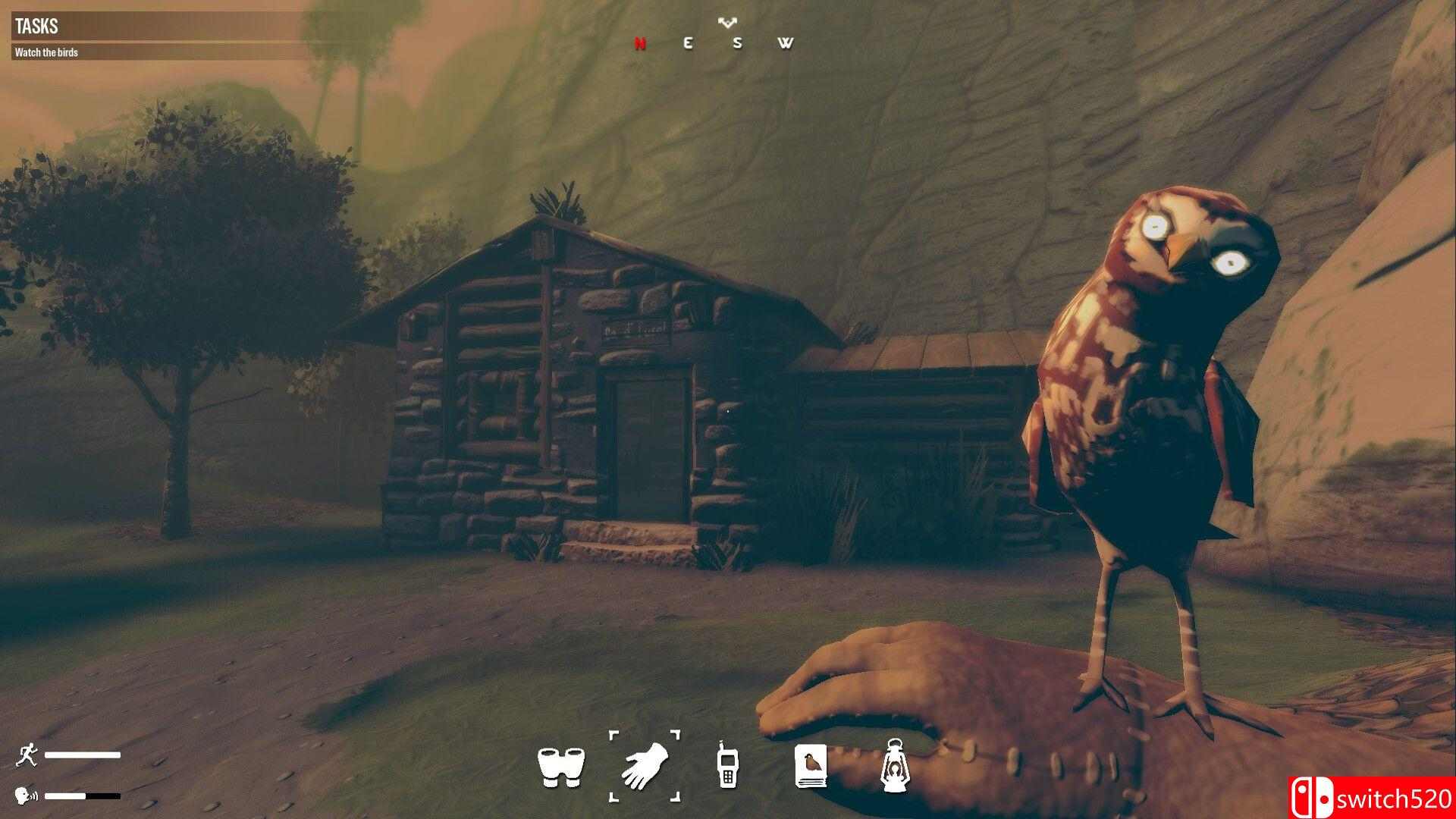 《观鸟（Birds Watching）》Build 22242452 P2P硬盘版[EN]_4