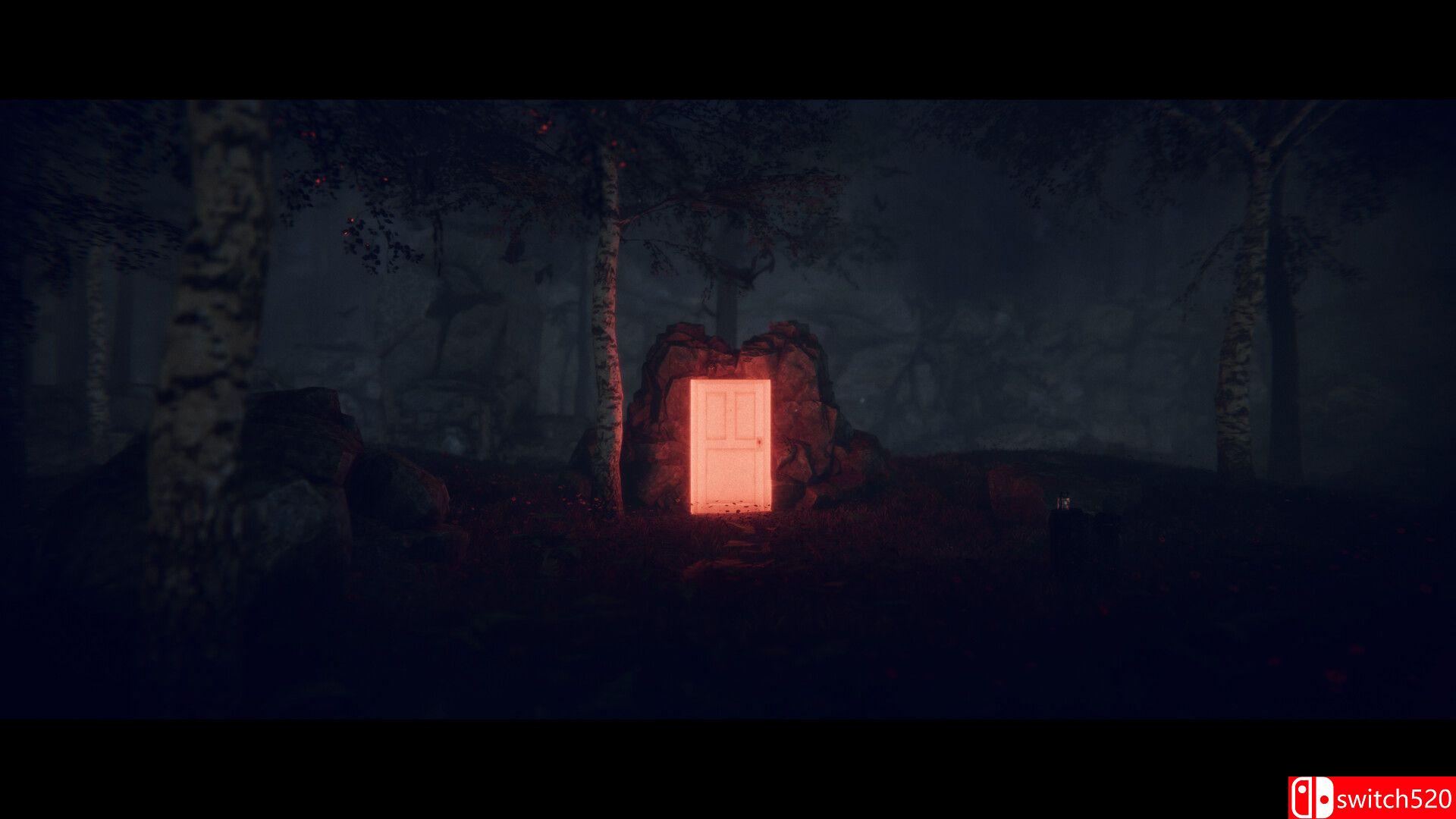 《鸣鸟计划（Project Songbird）》P2P硬盘版[EN/JP]_2