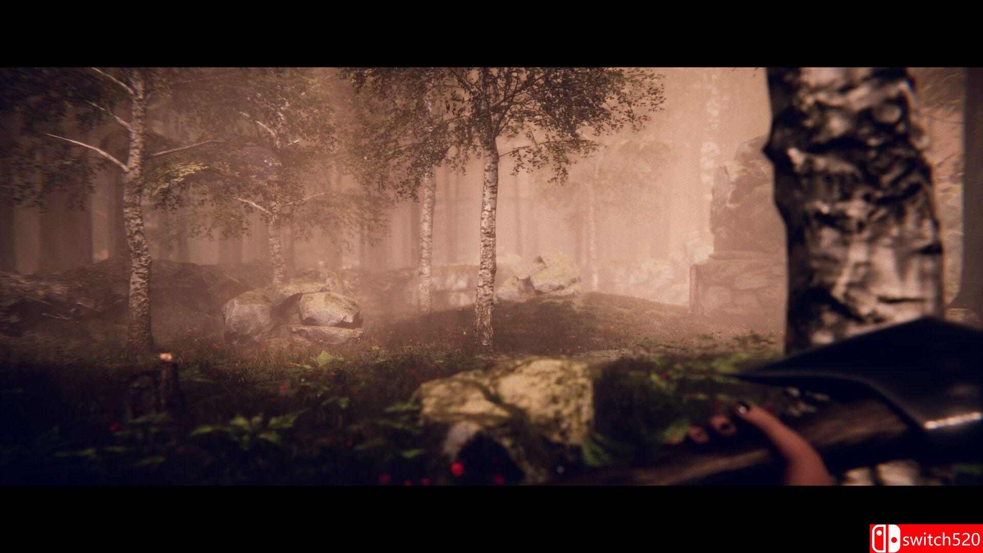 《鸣鸟计划（Project Songbird）》P2P硬盘版[EN/JP]_3
