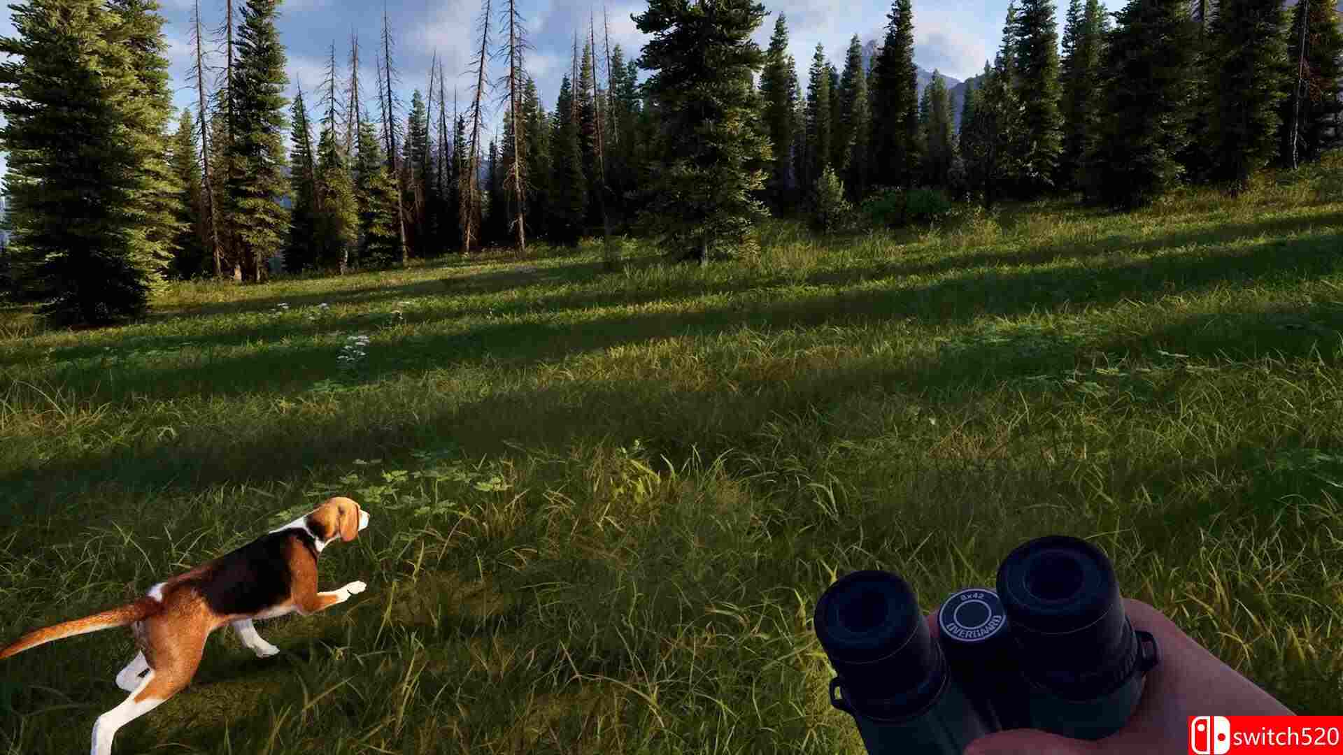 《狩猎之道2（Way of the Hunter 2）》官方中文 Early Access P2P硬盘版[CN/TW/EN/JP]_2