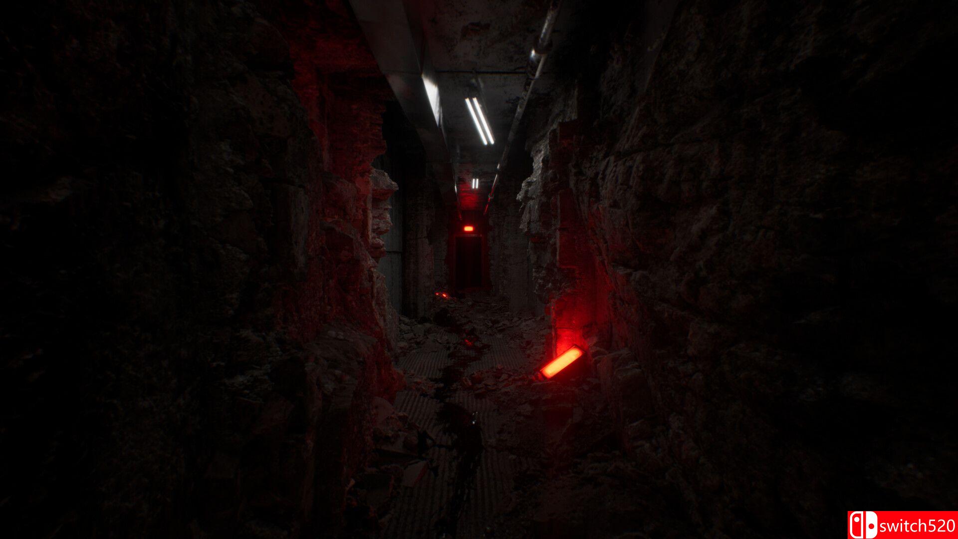 《忆蚀（Subliminal）》官方中文 TENOKE镜像版[CN/TW/EN/JP]_4