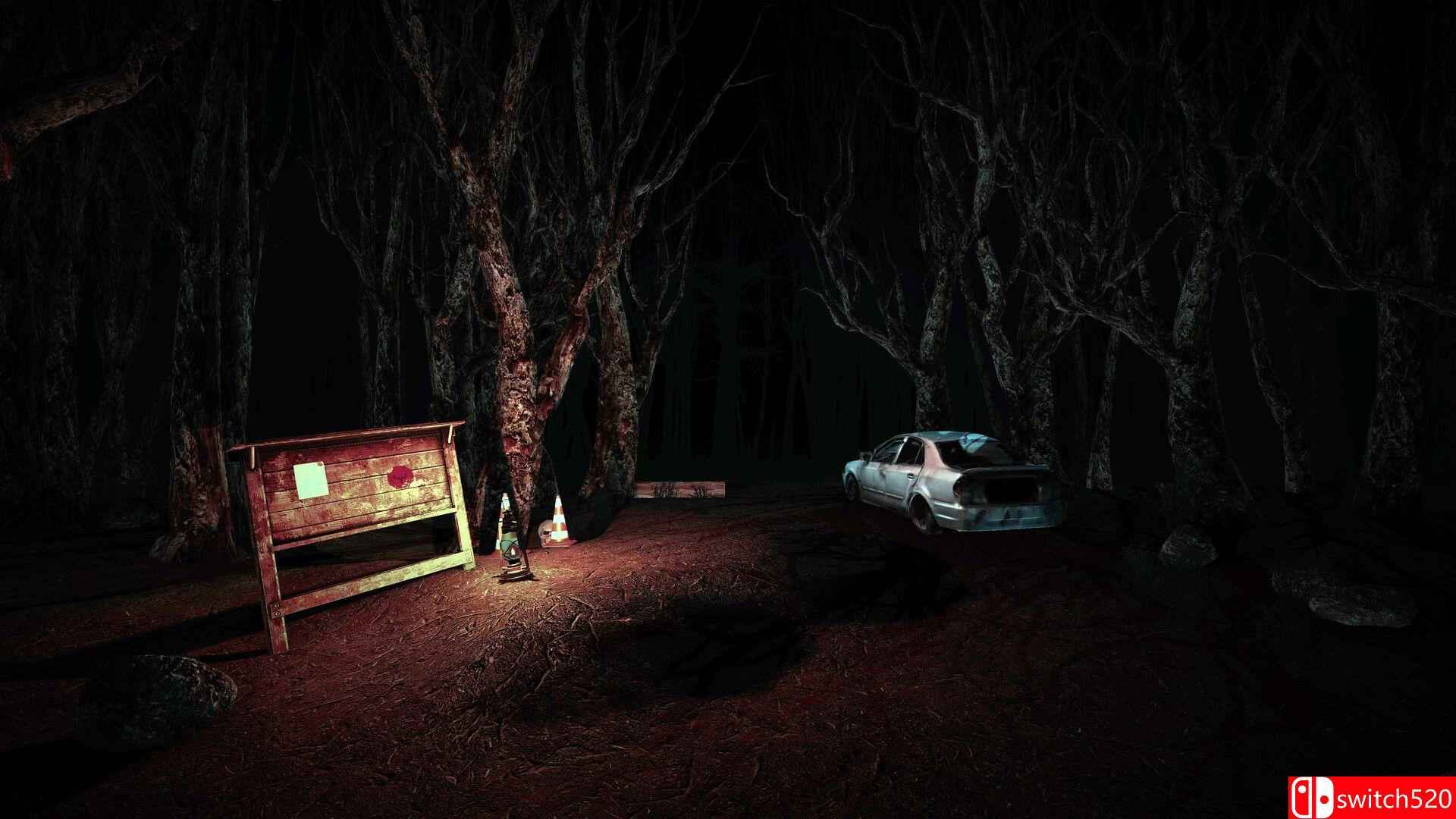 《圣徒（The Saint）》官方中文 v1.0.6 bADkARMA硬盘版[CN/EN/JP]_3