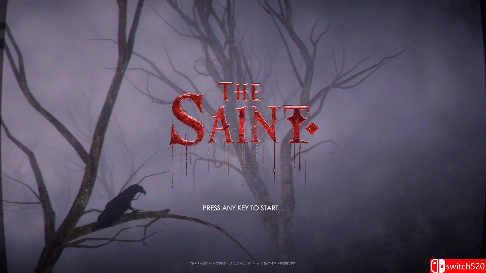 《圣徒（The Saint）》官方中文 v1.0.6 bADkARMA硬盘版[CN/EN/JP]_1