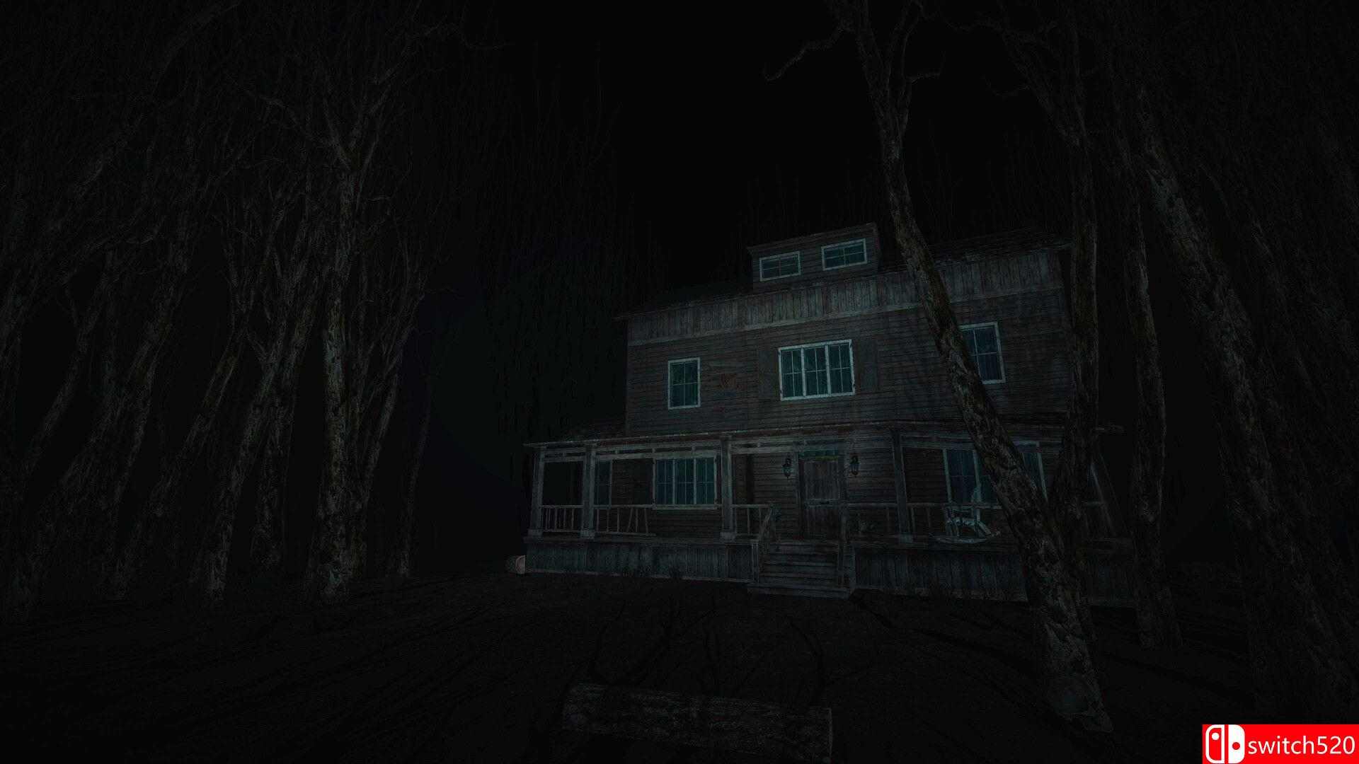 《圣徒（The Saint）》官方中文 v1.0.6 bADkARMA硬盘版[CN/EN/JP]_4