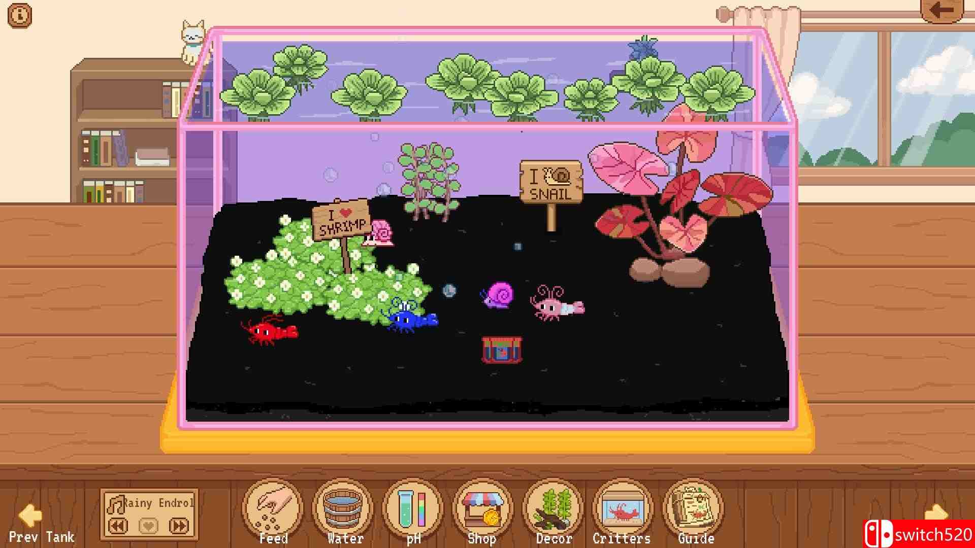 《微型玻璃缸：观赏虾与小伙伴们（Tiny Glass Tank: Dwarf Shrimp and Friends）》P2P硬盘版[EN]_3