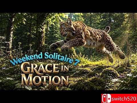《周末接龙7：优雅律动（Weekend Solitaire 7: Grace in Motio）》RAZOR硬盘版[EN]