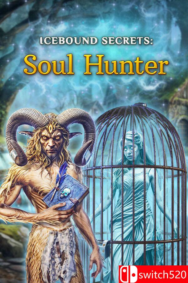 《冰封秘密2：灵魂猎人（Icebound Secrets 2: Soul Hunter）》DELiGHT硬盘版[EN]