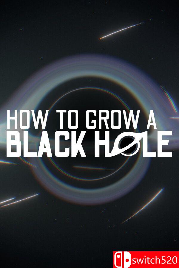 《黑洞养成指南（How To Grow a Black Hole）》官方中文 P2P硬盘版[CN/EN/JP]
