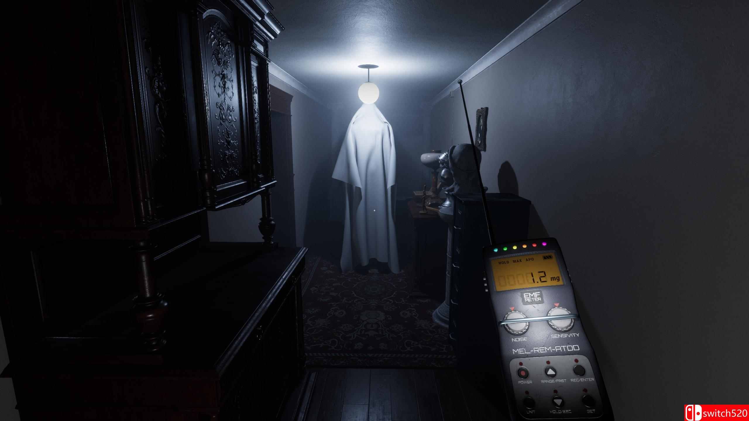 《幽灵之镜（Ghostmirror）》bADkARMA硬盘版[EN]_3