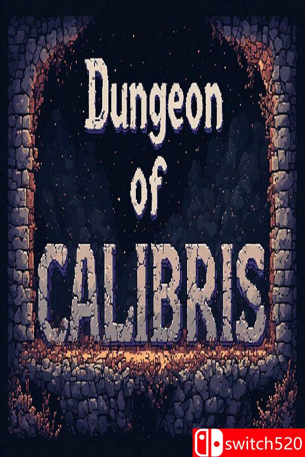 《卡利布里斯地牢：恶魔之（Dungeon of Calibris: Demon Orb）》P2P硬盘版[EN/JP]