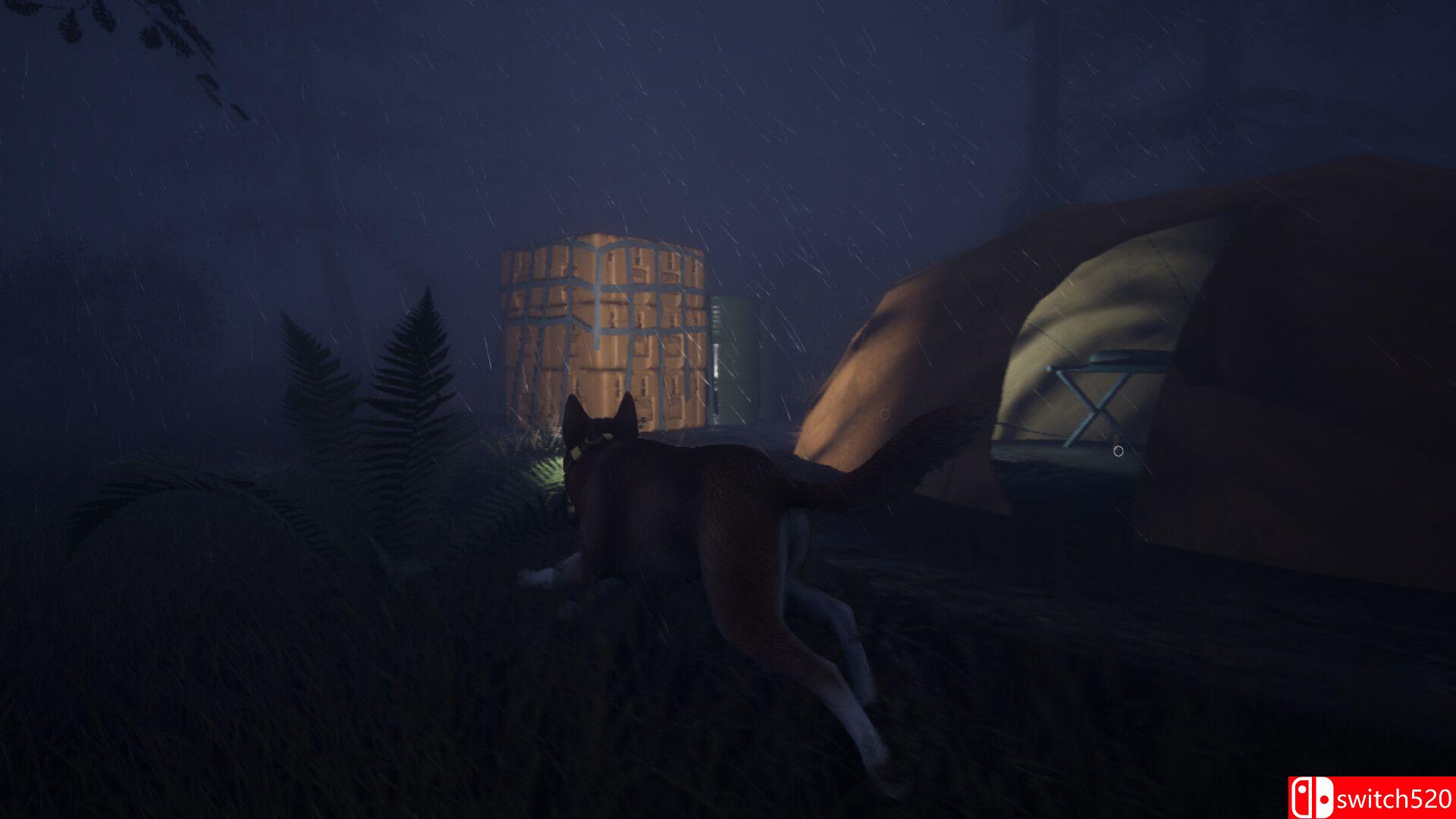 《忠犬：追影（The Good Dog: Chasing Shadows）》Early Access P2P硬盘版[EN]_1