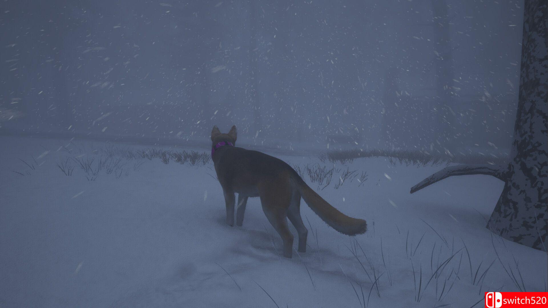 《忠犬：追影（The Good Dog: Chasing Shadows）》Early Access P2P硬盘版[EN]_5