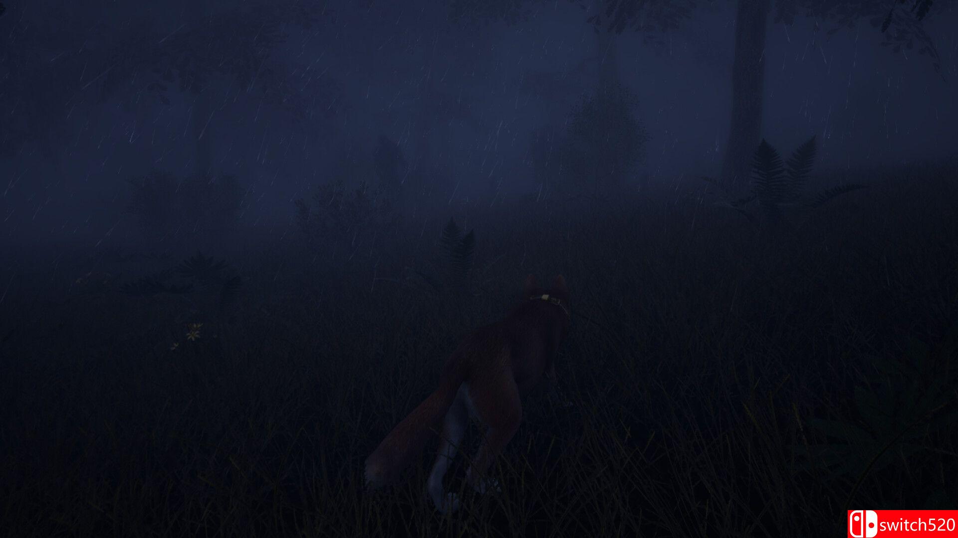 《忠犬：追影（The Good Dog: Chasing Shadows）》Early Access P2P硬盘版[EN]_4