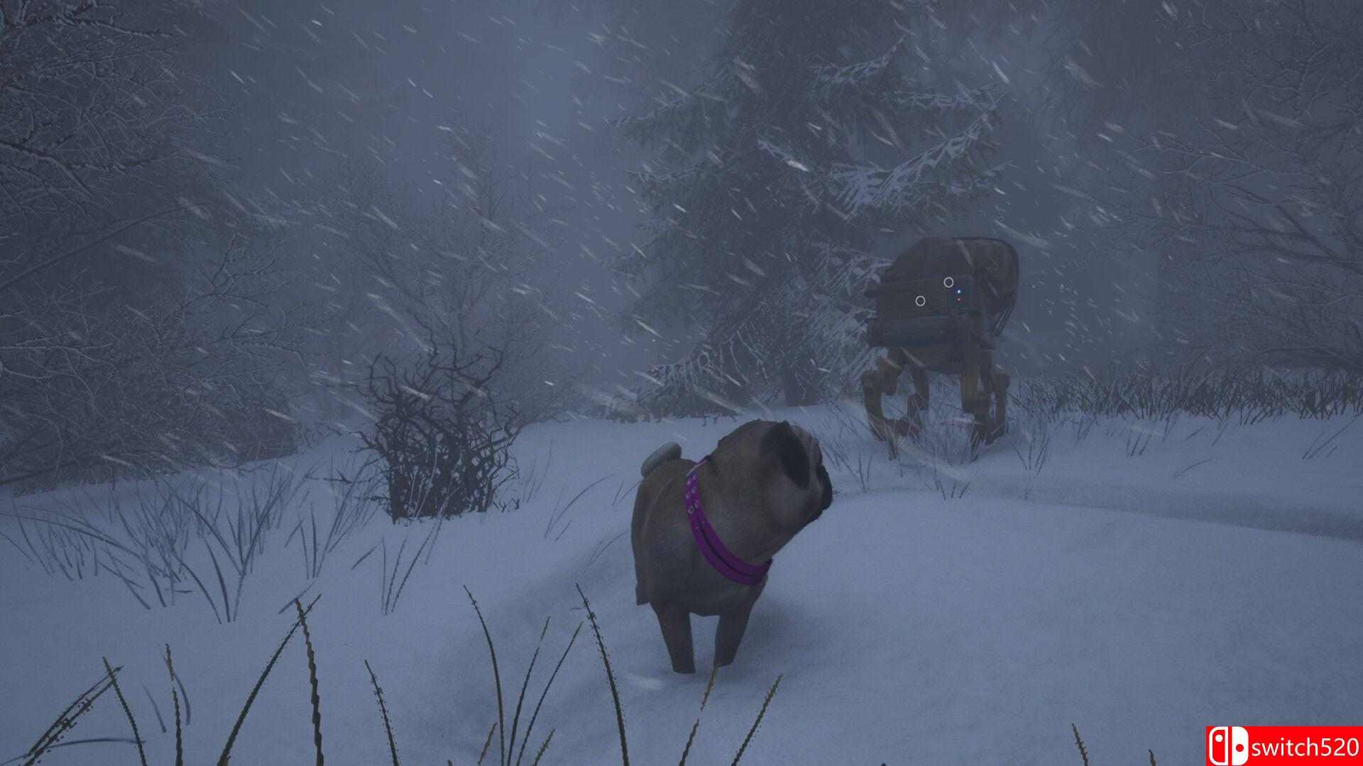《忠犬：追影（The Good Dog: Chasing Shadows）》Early Access P2P硬盘版[EN]_2