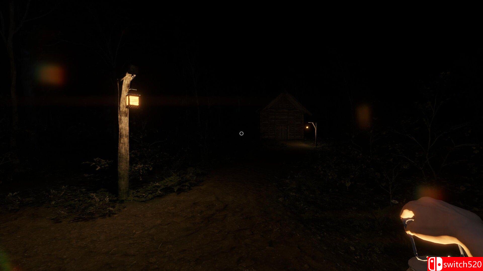 《守夜人（Vigilum）》Build 24129200 P2P硬盘版[EN]_3