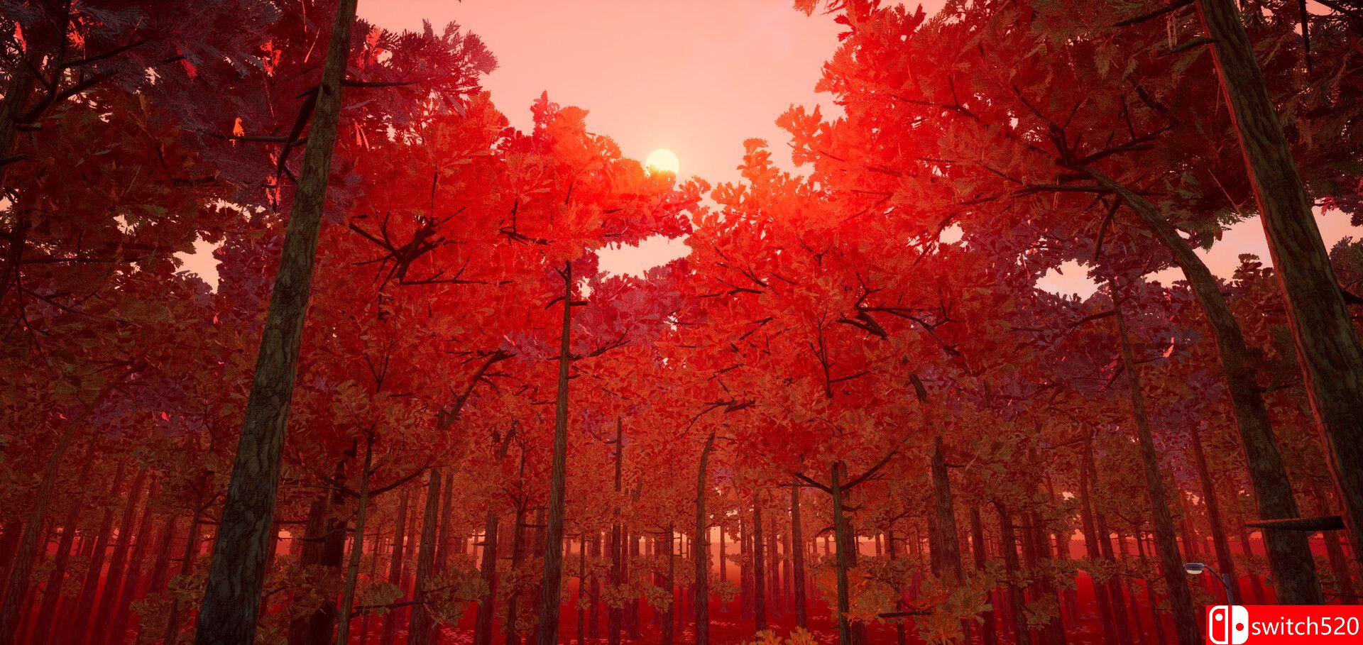 《BrVR：后室虚拟现实（BrVR Backrooms Virtual Reality）》SKIDROW修正镜像版[EN]_4
