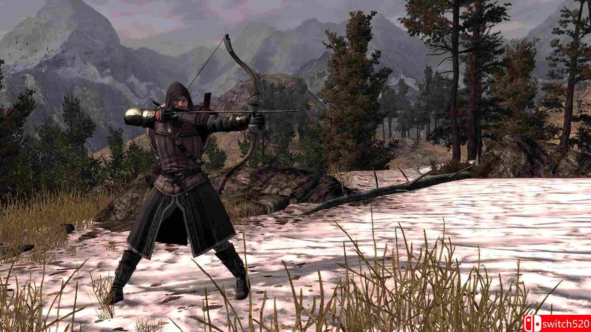 《指环王：北方战争（The Lord of the Rings War in the North）》遗产版 RUNE镜像版[CN/EN]_5