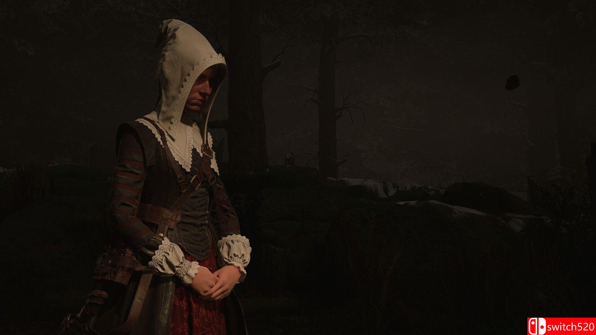《1666：阿姆斯特丹（1666: Amsterdam）》官方中文 Early Access P2P硬盘版[CN/EN/JP]_2