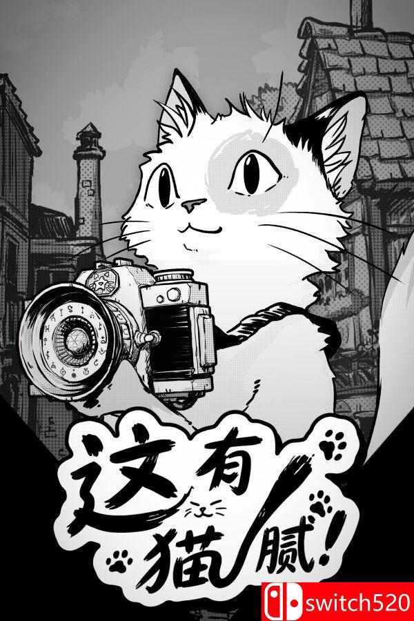 《这有猫腻（Cat Me If You Can）》官方中文 P2P硬盘版[CN/TW/EN/JP]