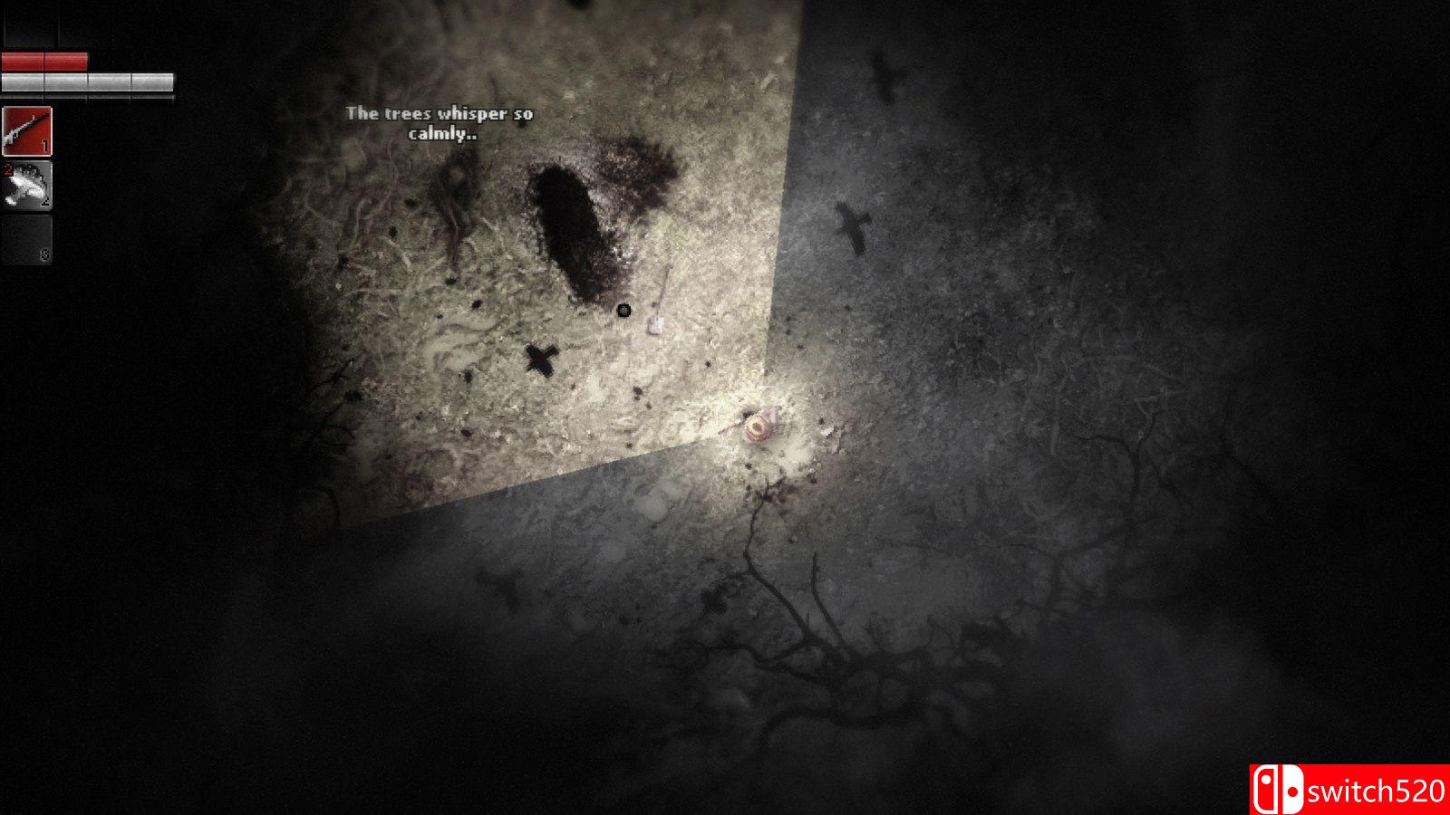 《阴暗森林（Darkwood）》Beta版 v3.1 3DM免安装未加密版[EN]_4