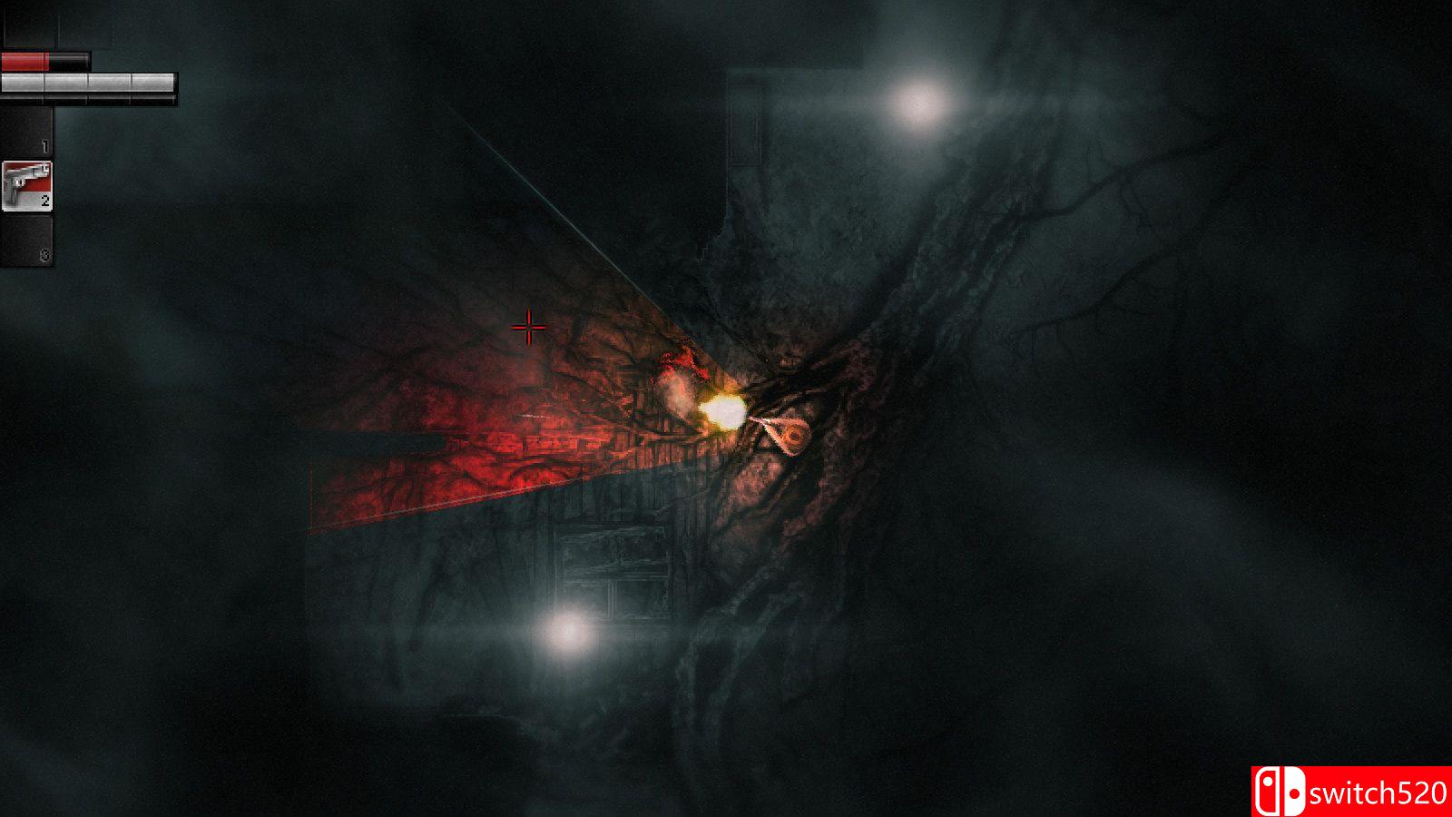 《阴暗森林（Darkwood）》Beta版 v3.1 3DM免安装未加密版[EN]_8